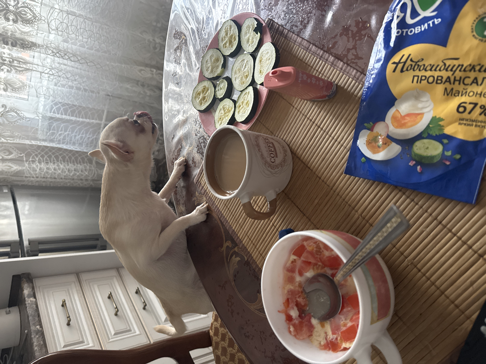 A chihuahua is perched on a table in what appears to be a kitchen, looking towards a plate of sliced zucchini and a cup of coffee. The chihuahua's tongue is extended, suggesting it might be tasting something or anticipating food. In the foreground, a bowl of what looks like scrambled eggs with tomatoes is visible, along with a spoon. A pink vape pen and a package of mayonnaise are also on the table. The background shows kitchen cabinets and a refrigerator, with a window covered by a sheer curtain. The setting is likely a residential kitchen in Novosibirsk, Russia, given the context provided.