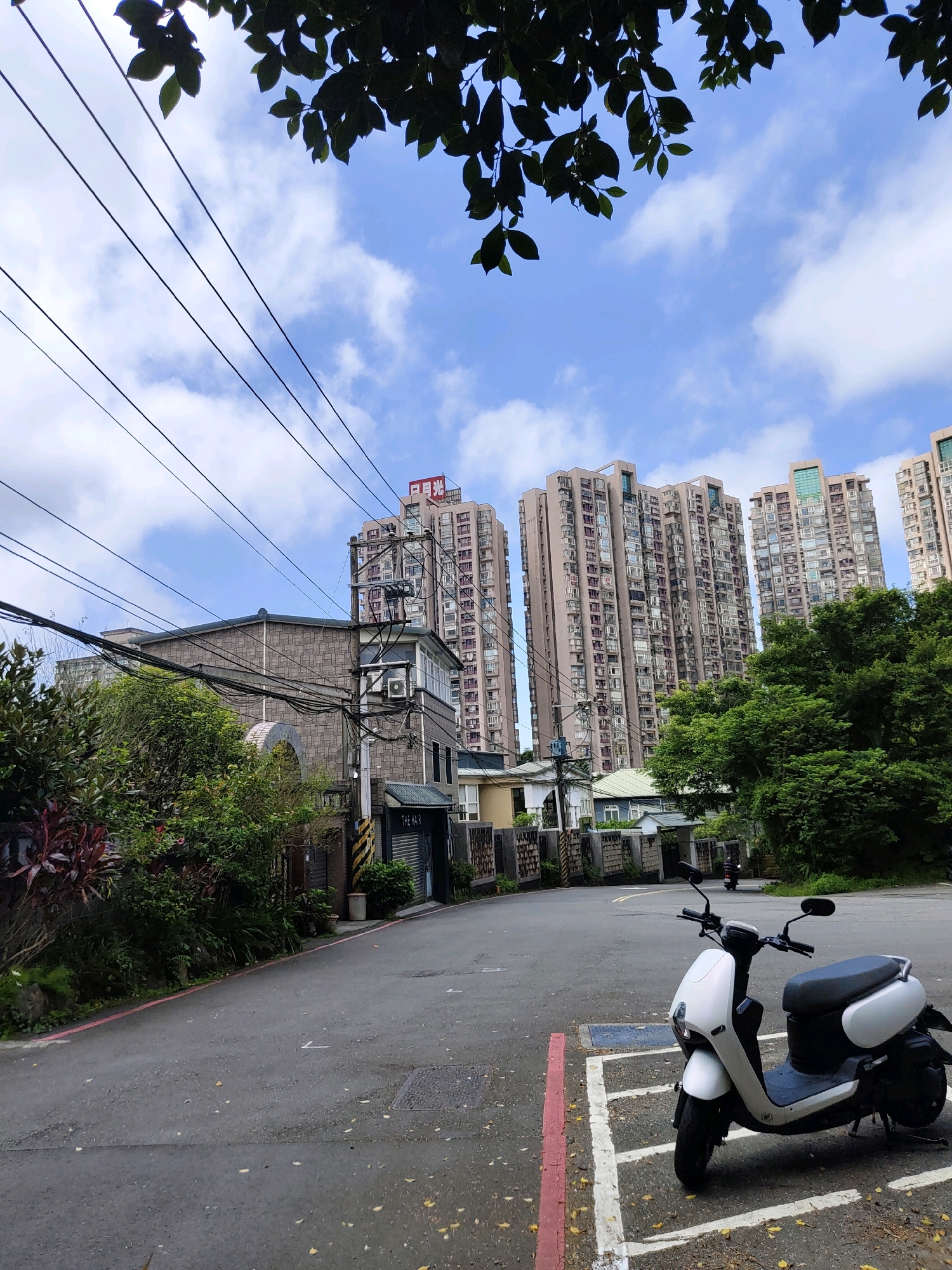 The image depicts a street scene in New Taipei City, Taiwan, on a cloudy day. In the foreground, a white electric scooter is parked on the side of a road, which appears wet. The road has painted lines indicating parking spaces. Beyond the scooter, the road curves slightly uphill. On the left side of the road, there is lush green vegetation, including leafy plants and a few red-leafed plants. A stone-clad building with a modern arched entrance is visible behind the foliage. Further in the background, several tall, multi-story apartment buildings with numerous windows dominate the skyline. These buildings are light brown and appear to be densely packed. Overhead, telephone wires crisscross the sky, and the branches of a tree with dark green leaves frame the top of the image against a backdrop of a blue sky with scattered white clouds. The overall impression is of a residential area with a mix of modern high-rise buildings and older structures, surrounded by greenery.