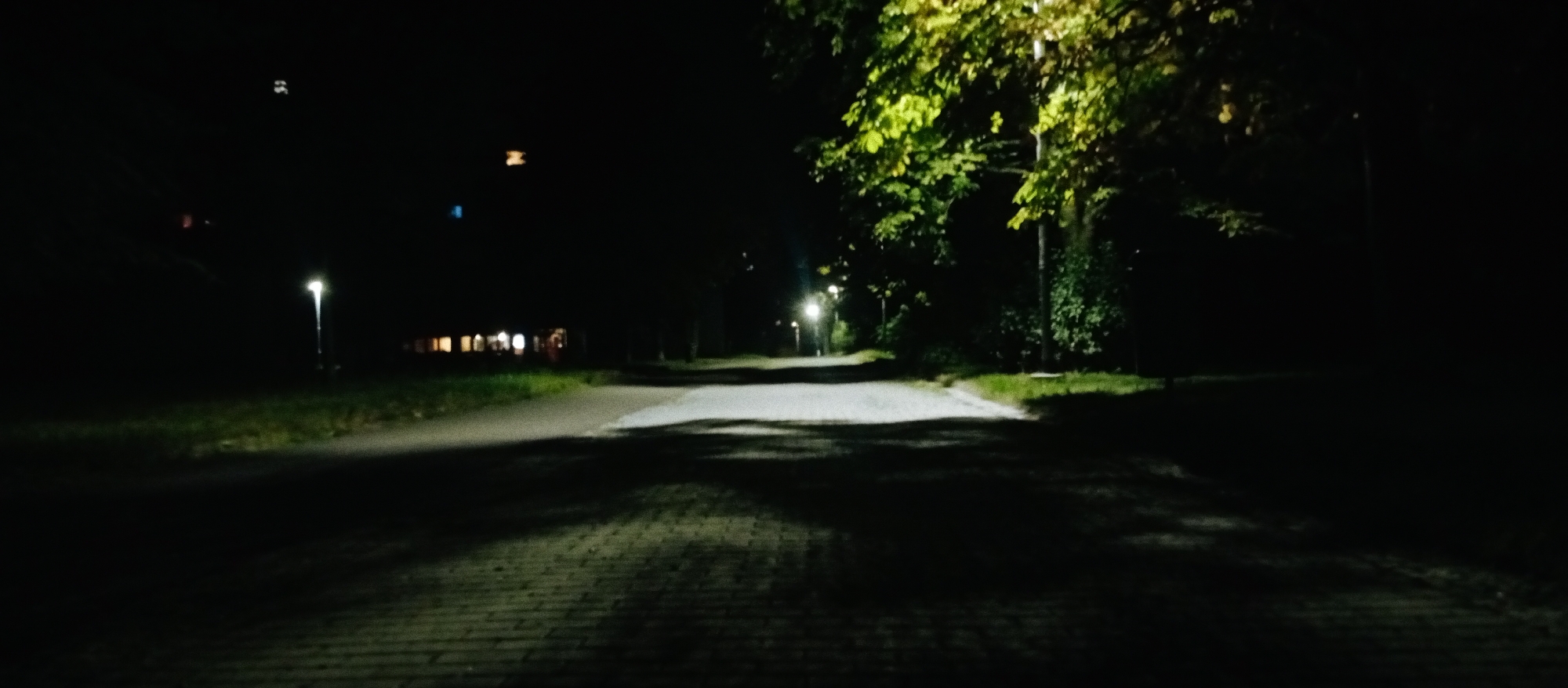 The image depicts a dark outdoor scene, likely a park or a path in a residential area, at night. A paved pathway, possibly made of cobblestones or bricks, occupies the foreground and recedes into the distance. The pathway is illuminated by scattered streetlights, casting pools of light and shadows on the ground. To the left of the path, a grassy area is visible, also dimly lit. In the background, trees with illuminated foliage suggest the presence of streetlights above them. Several buildings with glowing windows are faintly visible in the mid-ground to the left, indicating a residential or commercial area. The overall atmosphere is one of quiet darkness, punctuated by artificial light sources. This scene could be located in Karviná, Czechia, given the typical streetscape and nighttime illumination in such European cities. No people are visible in the image.