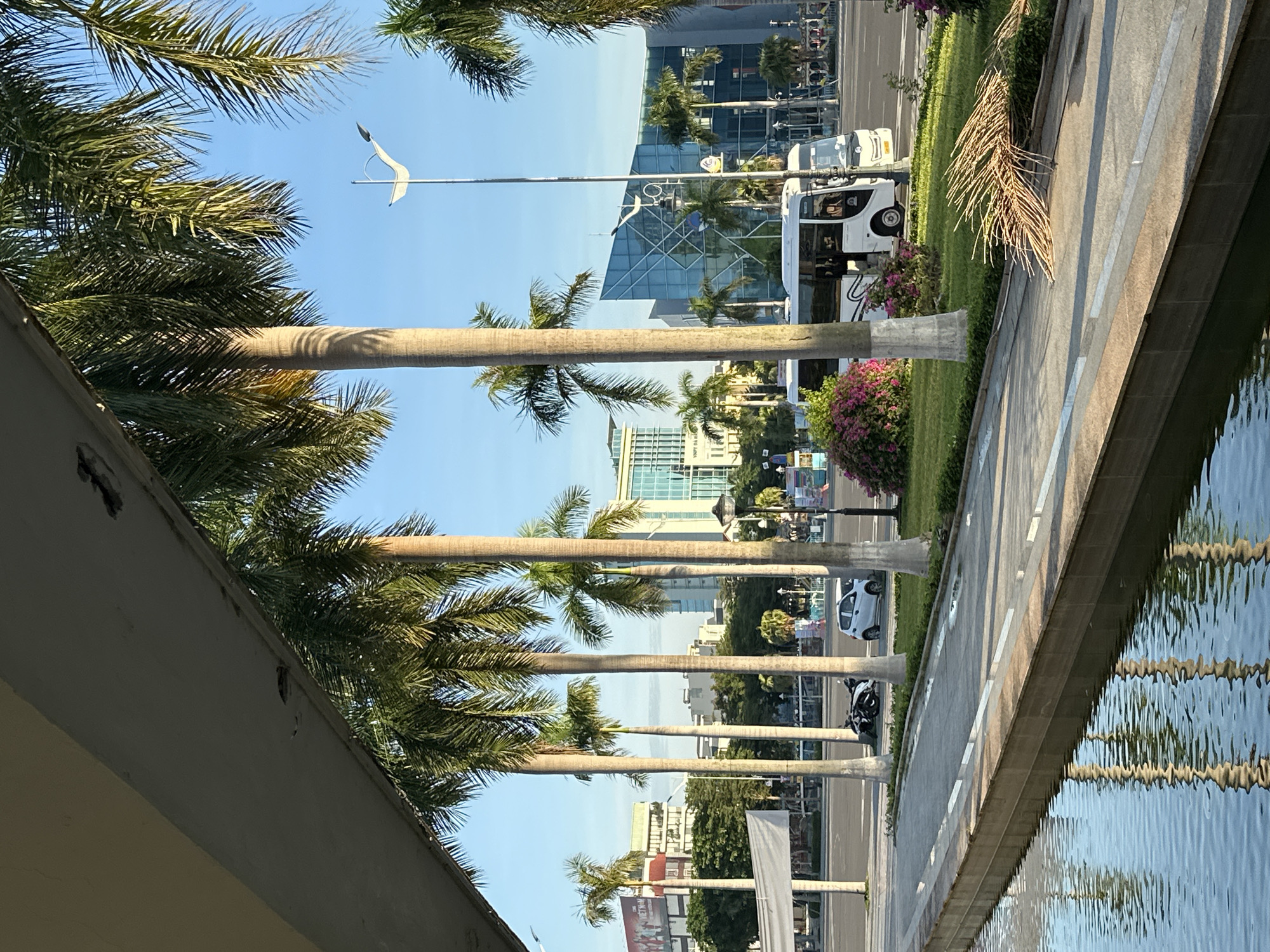 The image captures a street scene in the city of Đà Nẵng, Vietnam, likely near the Dragon Bridge given the modern architecture and palm tree-lined street. In the foreground, a body of water with rippling reflections of palm trees creates a tranquil foreground. A paved walkway runs alongside the water, bordered by a stone ledge. Beyond the walkway, a row of tall palm trees stands prominently, their fronds casting shadows. In the middle ground, a white bus is parked on the street, its doors open, suggesting passengers may be boarding or disembarking. A white car and a black motorcycle are also visible parked on the side of the road. The background features a cityscape with several modern buildings, including one with a striking blue glass facade. The sky is clear and blue, indicating a sunny day.