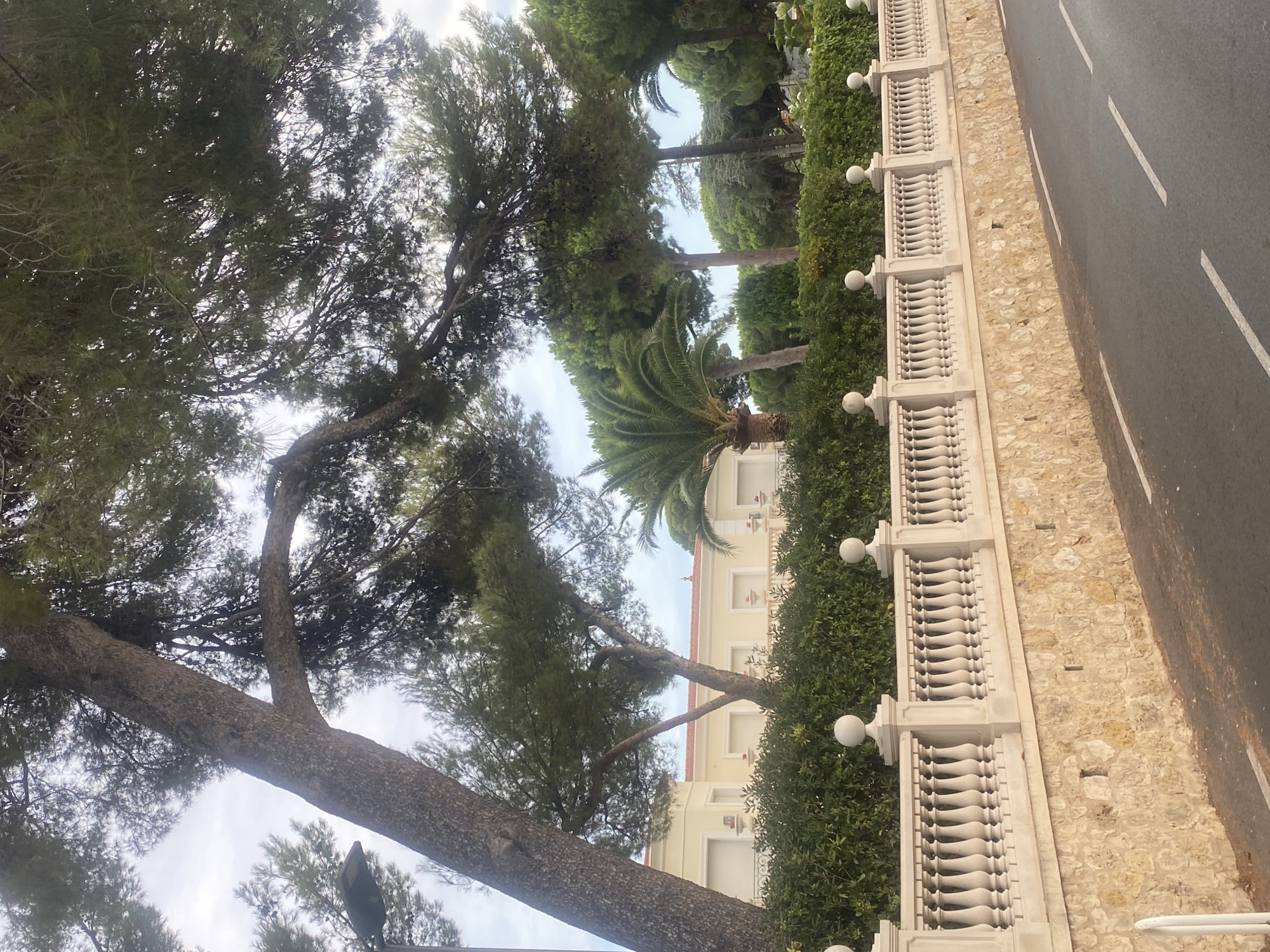 The image depicts a scenic view in Antibes, France, featuring a stone wall topped with a white balustrade, bordering a tree-lined property. In the foreground, a paved road with white lane markings runs alongside the wall. The wall itself is constructed from rough-hewn, light-colored stones and has a white concrete cap. Above the wall, a lush green hedge provides a dense backdrop, behind which a pale yellow building with red-tiled roofs is partially visible. The building has several windows with white shutters and decorative urns. A variety of trees, including tall pine trees and a palm tree, dominate the upper portion of the image, their branches extending over the scene. The sky is overcast with diffused light. A lamppost is visible on the left side of the image, partially obscured by a large tree trunk.
