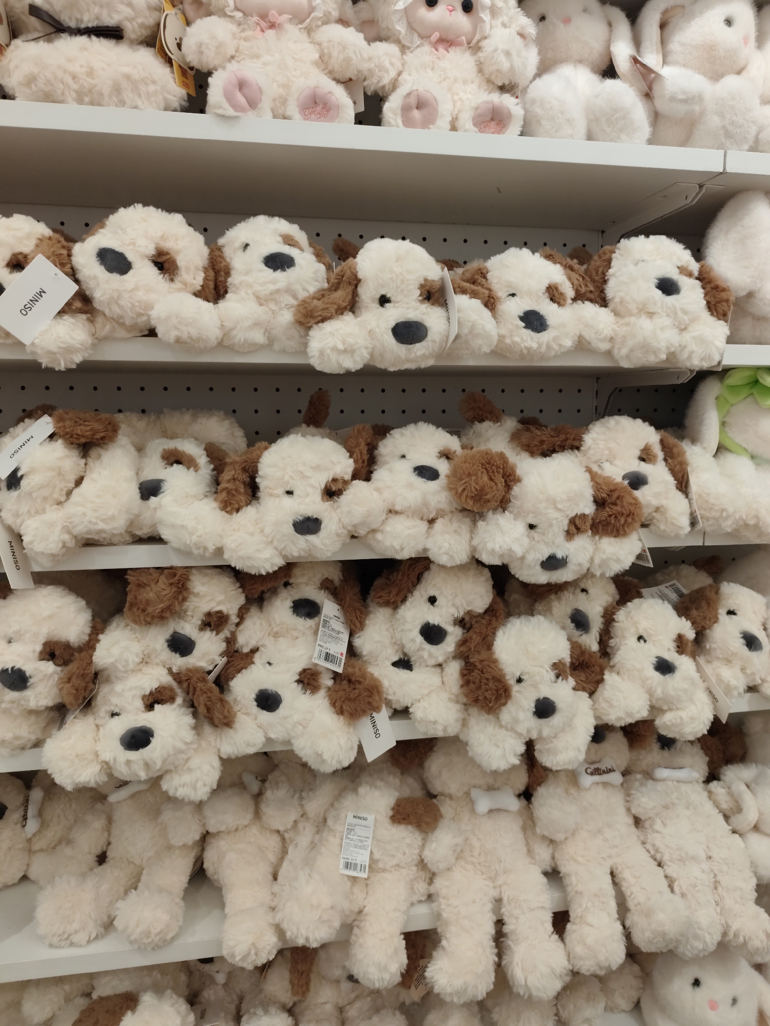 A retail display of plush stuffed animals, primarily resembling dogs and bears, is shown on white shelves. The animals are cream-colored with brown markings on their ears and faces. Some have tags attached, including one visible "MINISO" tag. The store appears to be located in Daqing, China, based on the presence of numerous Miniso stores within the city. The lighting suggests an indoor environment. The arrangement indicates a commercial setting, likely a toy store or department store.