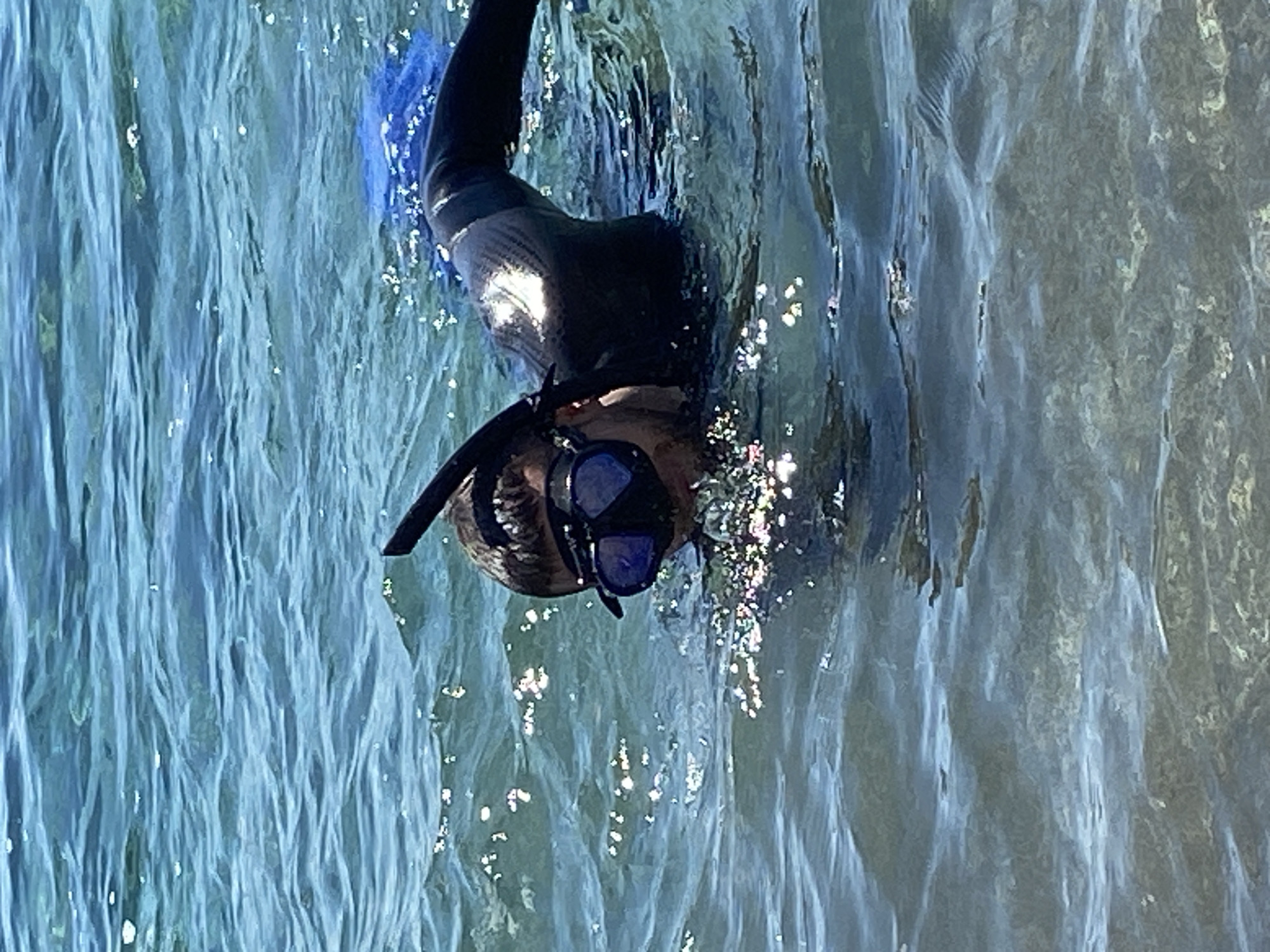 A person in a black wetsuit, blue fins, and a black mask and snorkel is submerged in water. The water appears clear, with sparkling reflections on the surface. The exact location is unknown, as the city of Prijevor, Montenegro, is not visible in the image.