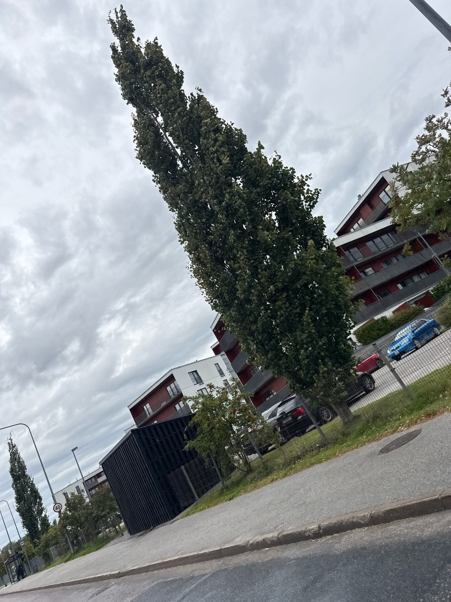 A low-angle, slightly tilted shot captures a street scene in Tallinn, Estonia, under an overcast sky. Dominating the left side of the frame is a tall, slender tree. In the background, modern apartment buildings with red and white facades are visible. A black, cubical structure with vertical slatted siding stands between the tree and the buildings.
The street in the foreground is paved with asphalt, bordered by a concrete sidewalk and curb. A metal fence runs along the edge of the property behind the sidewalk. Parked cars, including a blue hatchback and a red sedan, are visible beyond the fence. A speed limit sign indicating "40" is posted on a pole near the street. In the distance, a bus stop shelter with a person inside can be seen. The overall atmosphere is one of a residential urban environment.