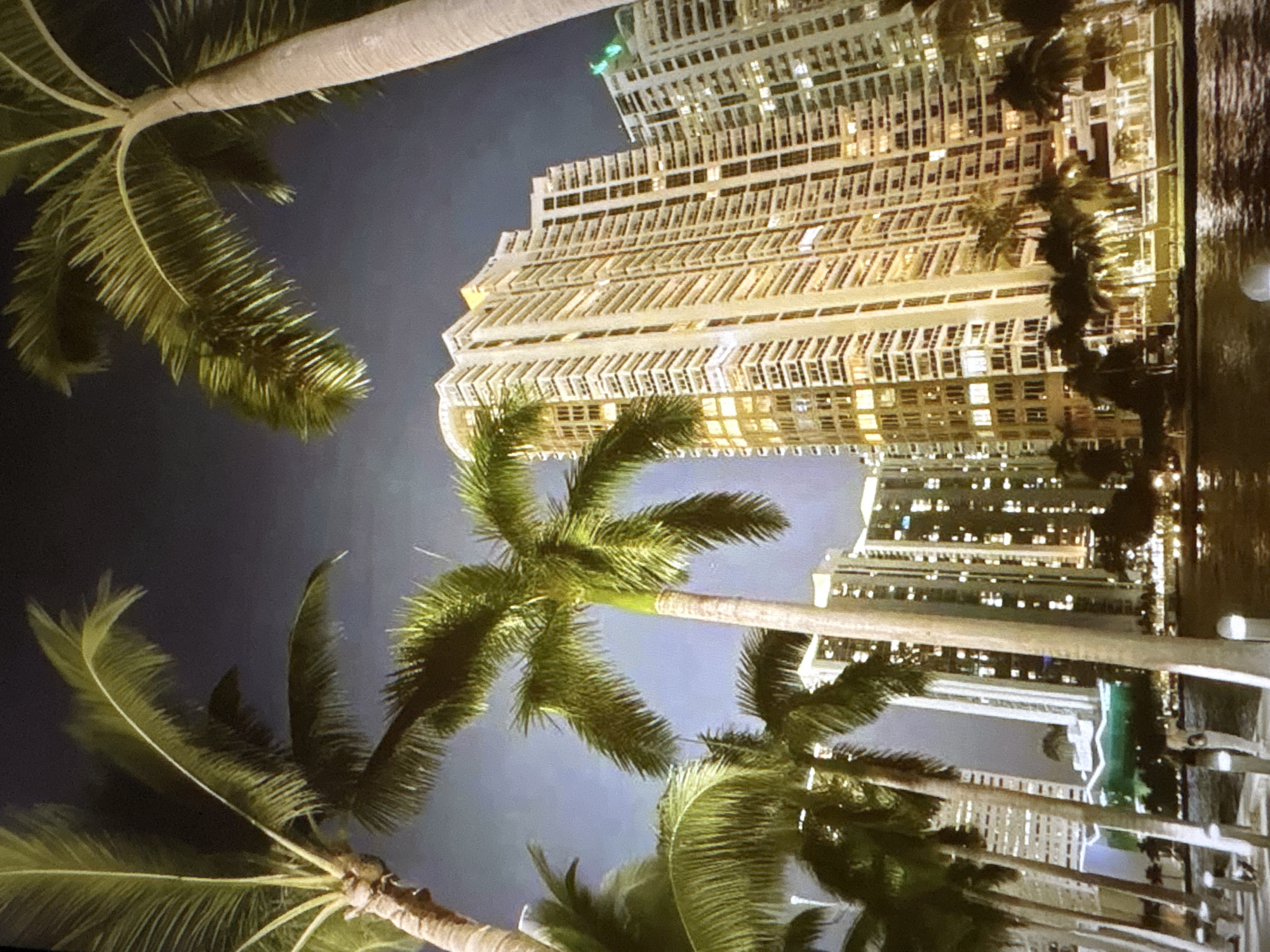 The image depicts a nighttime scene with palm trees in the foreground and a modern city skyline in the background. The buildings are tall, illuminated high-rise structures with many windows. The sky is dark, suggesting it is late evening or night. The scene appears to be waterfront, with a body of water in the lower part of the image. The palm trees are green and lush, with their fronds reaching towards the sky. The overall impression is of a vibrant urban environment, possibly a resort or a coastal city. The question about the location being Pori, Finland, is factually incorrect as Pori is an inland city and does not have palm trees and this type of coastal skyline.