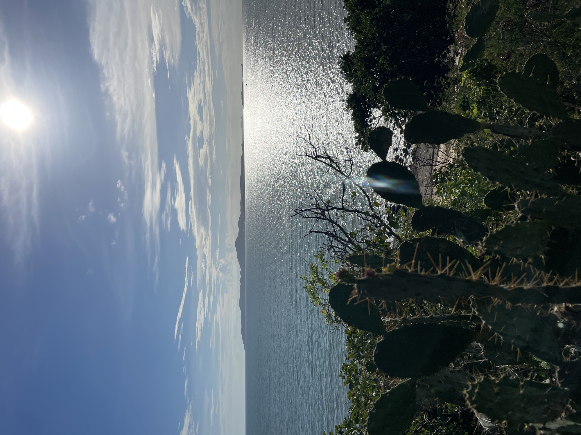 This is a landscape photograph taken from a high vantage point overlooking the ocean. In the foreground, a cluster of prickly pear cacti with sharp spines are visible. Beyond the cacti, lush green foliage and bare branches suggest a natural, overgrown environment. The middle ground is dominated by a vast expanse of shimmering blue ocean, reflecting the bright sunlight. In the distance, a hazy outline of islands or a coastline can be seen on the horizon, under a blue sky with scattered white clouds. The sun is high in the sky, casting a strong glare on the water. The scene evokes a feeling of a warm, tropical day in Pattaya City, Thailand.