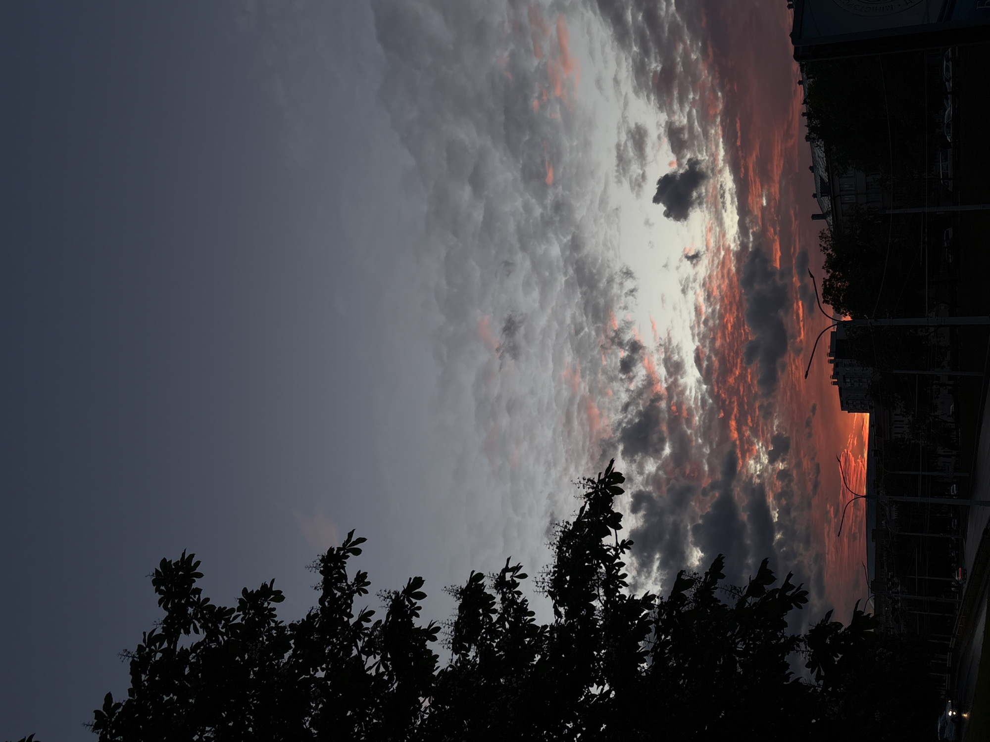 The image captures a dramatic sunset over Minsk, Belarus. The sky is filled with dark, gray clouds interspersed with vibrant hues of orange and pink, indicating the setting sun. A silhouette of a tree occupies the lower part of the frame, contrasting with the bright sky. In the distance, the outlines of buildings and streetlights can be discerned, suggesting a city environment. The image appears to be taken from a low angle, emphasizing the height of the sky and clouds.