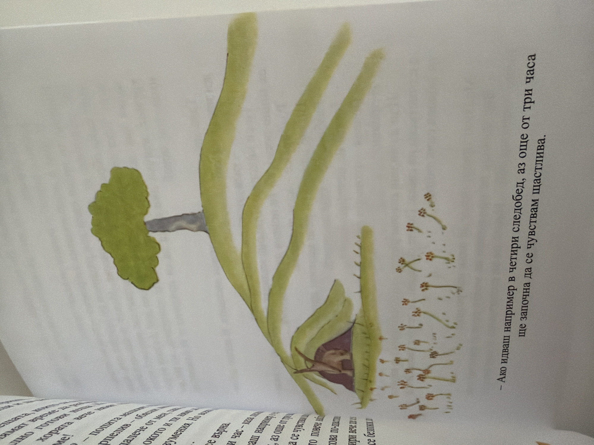 The image displays an open book with an illustration on the right page. The illustration depicts a stylized landscape with a prominent tree on a hill. The hill has rolling green contours, and in a burrow at the base of the hill, a small, light brown creature with long ears is visible. The foreground shows a cluster of small, reddish-brown, mushroom-like plants. The left page contains text in a foreign language. The bottom of the right page also has text in the same foreign language. The scene is clearly from a book, likely a children's book, given the illustrative style. There is no information in the image to indicate the location in the city of Pazardzhik, Bulgaria.