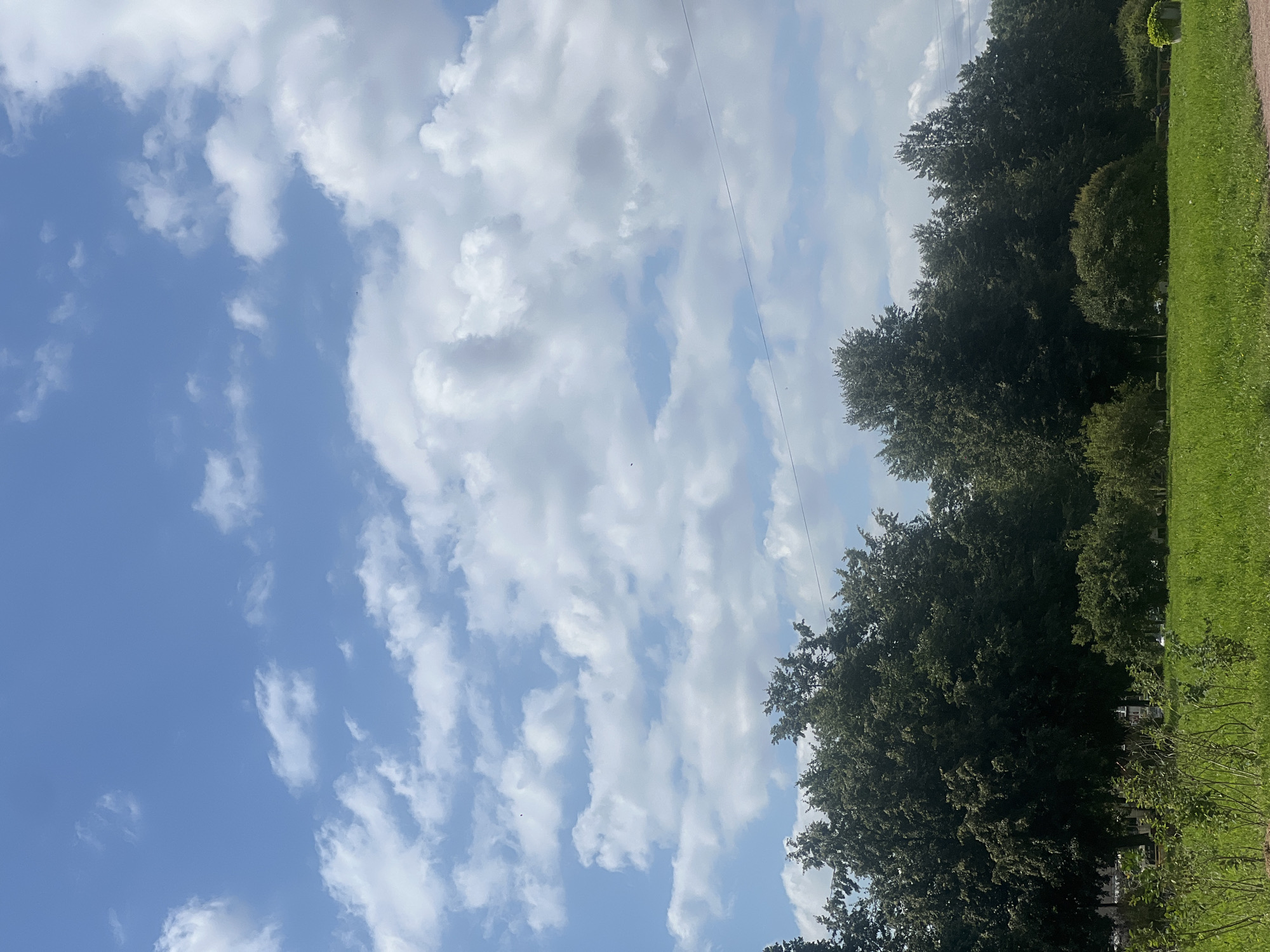 The image depicts a park scene in Saint Petersburg, Russia, under a bright, partly cloudy sky. Lush green grass covers the foreground, with scattered bushes and trees. A dense line of tall, mature trees forms a backdrop across the middle of the image, their dark green foliage contrasting with the sky. The sky itself is a vibrant blue, punctuated by fluffy white cumulus clouds. A thin power line is visible stretching across the upper right portion of the frame. The overall impression is of a serene, natural environment within an urban setting.