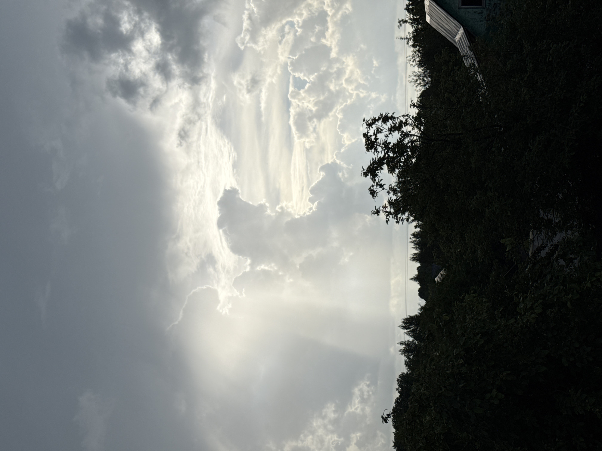 A silhouetted foreground of dense, dark green foliage, likely trees and bushes, dominates the bottom half of the image. A portion of a weathered, teal-colored building with a corrugated metal roof is visible on the right side, partially obscured by the trees. The building appears to have a small, dark window. Above the trees, a dramatic sky unfolds. Large, dense, white and gray clouds fill the upper portion of the frame. A bright shaft of light, suggesting a sunbeam breaking through the clouds, illuminates a large portion of the sky on the left side of the image. The overall scene suggests an outdoor environment, possibly a rural or suburban area, under a turbulent or clearing sky.