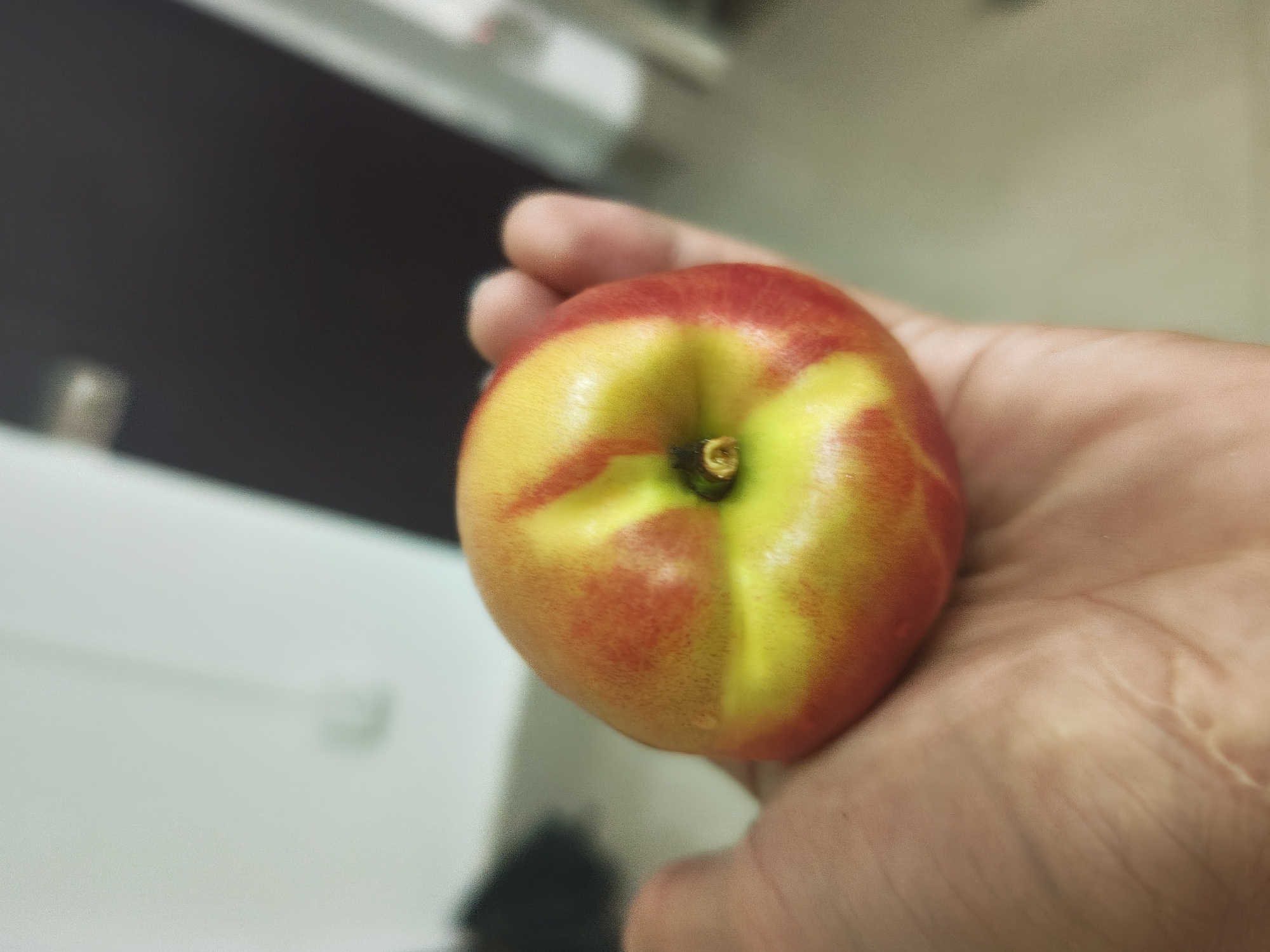 The image shows a close-up of a hand holding a nectarine. The nectarine is round and has a smooth skin that transitions from yellow to red, with some streaks of both colors. The stem end of the nectarine is visible, showing a small green stem. The hand is a pale skin tone, and the palm lines are visible, indicating it is an adult hand. The background is blurred and appears to be an indoor setting. There are hints of white and dark surfaces, possibly suggesting furniture or walls. The lighting is soft, and there are no obvious indicators of the time of day or weather. The overall impression is that of a casual moment, perhaps someone about to eat the fruit. The image is cropped to focus on the nectarine and the hand, with the background out of focus. No text is visible in the image. The location context of Chongqing High-tech Zone, China, does not offer specific visual cues within the provided image.