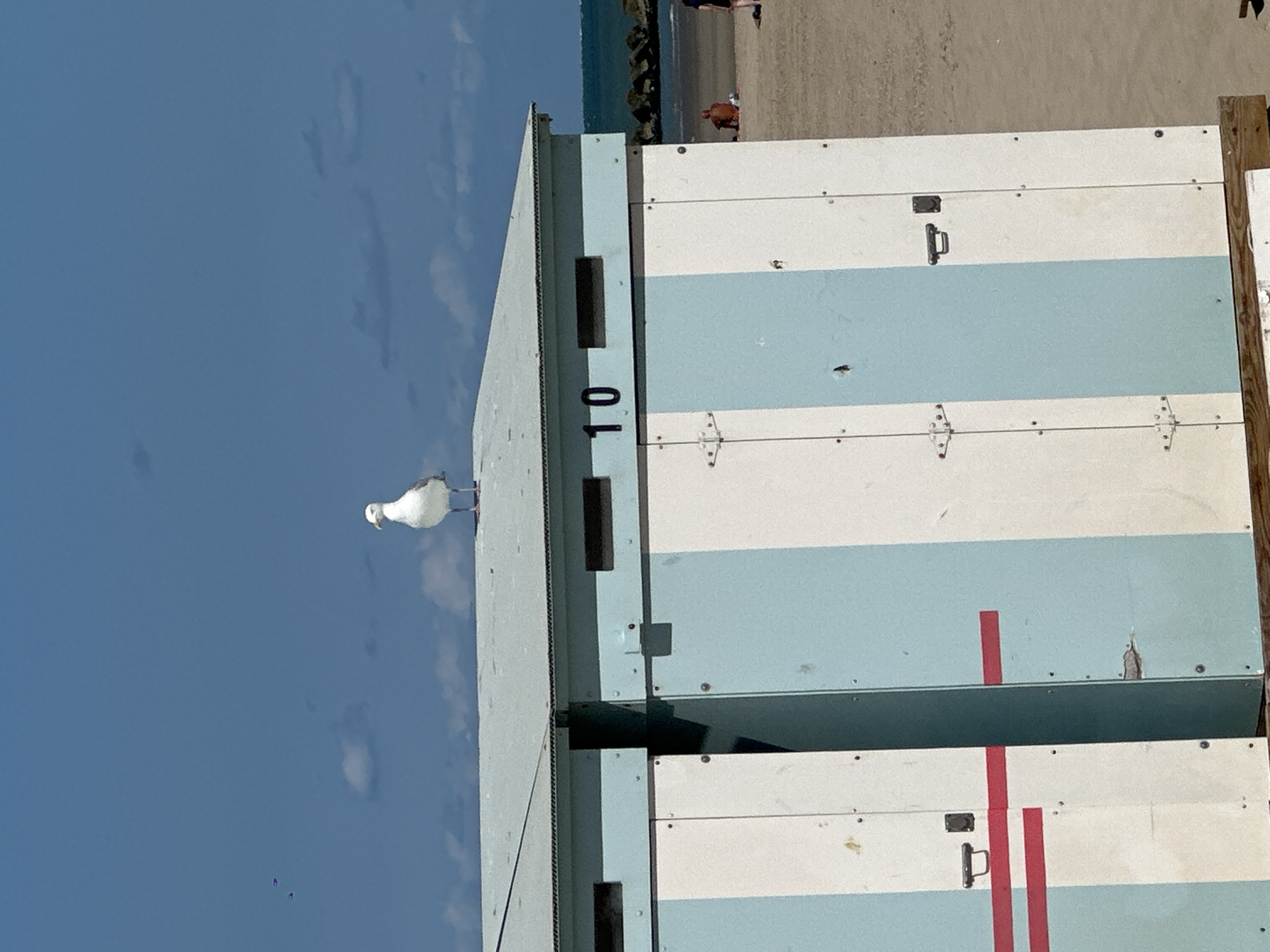 A seagull stands atop a pale blue and white striped beach hut on a sunny day at the Dunkirk waterfront, France. The hut is numbered "10" and features two rectangular openings near the roofline. Red stripes mark the doors of the hut. In the background, the sea meets a breakwater of dark rocks, and a person is visible sitting on the sandy beach. The sky is a clear blue with scattered white clouds.
