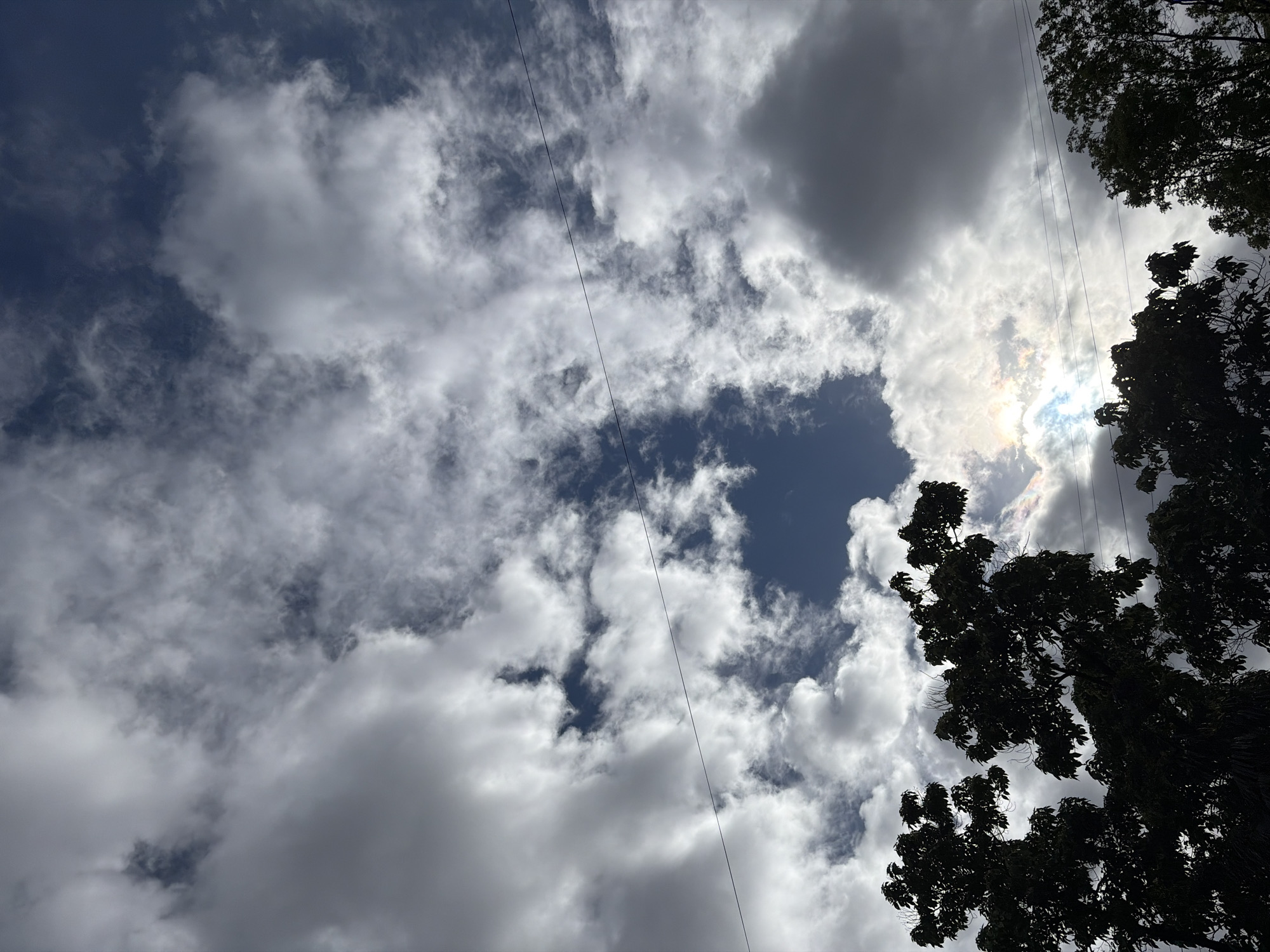 The image shows a view looking upwards towards a sky filled with cumulus clouds, partially obscuring the blue sky. Some power lines are visible extending upwards from the lower left to the top. There is a tree, silhouetted, positioned on the right side. The sun is trying to peak through a spot that is not blocked by clouds. The location is Sochi, Russia.