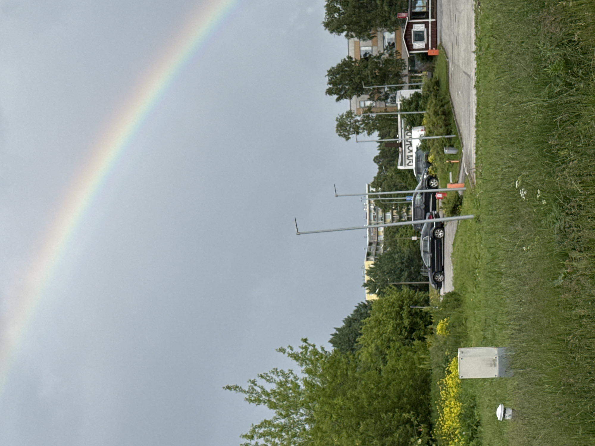 An outdoor scene in Tallinn, Estonia, features a faint rainbow arching across a cloudy, overcast sky. In the foreground, tall, uncut grass covers the ground. To the left, a white, rectangular utility box stands beside a smaller, round, white device. Further into the middle ground, a patch of bright yellow wildflowers is visible. Behind the flowers and grass, a paved area with several parked cars, including a black sedan and a black SUV, is present. Streetlights are positioned along the paved area. Beyond the cars, a row of green trees and bushes lines the landscape, with some taller trees interspersed. In the background, apartment buildings and a small, red-and-white structure that appears to be a kiosk or small building are visible, all under the grey sky.