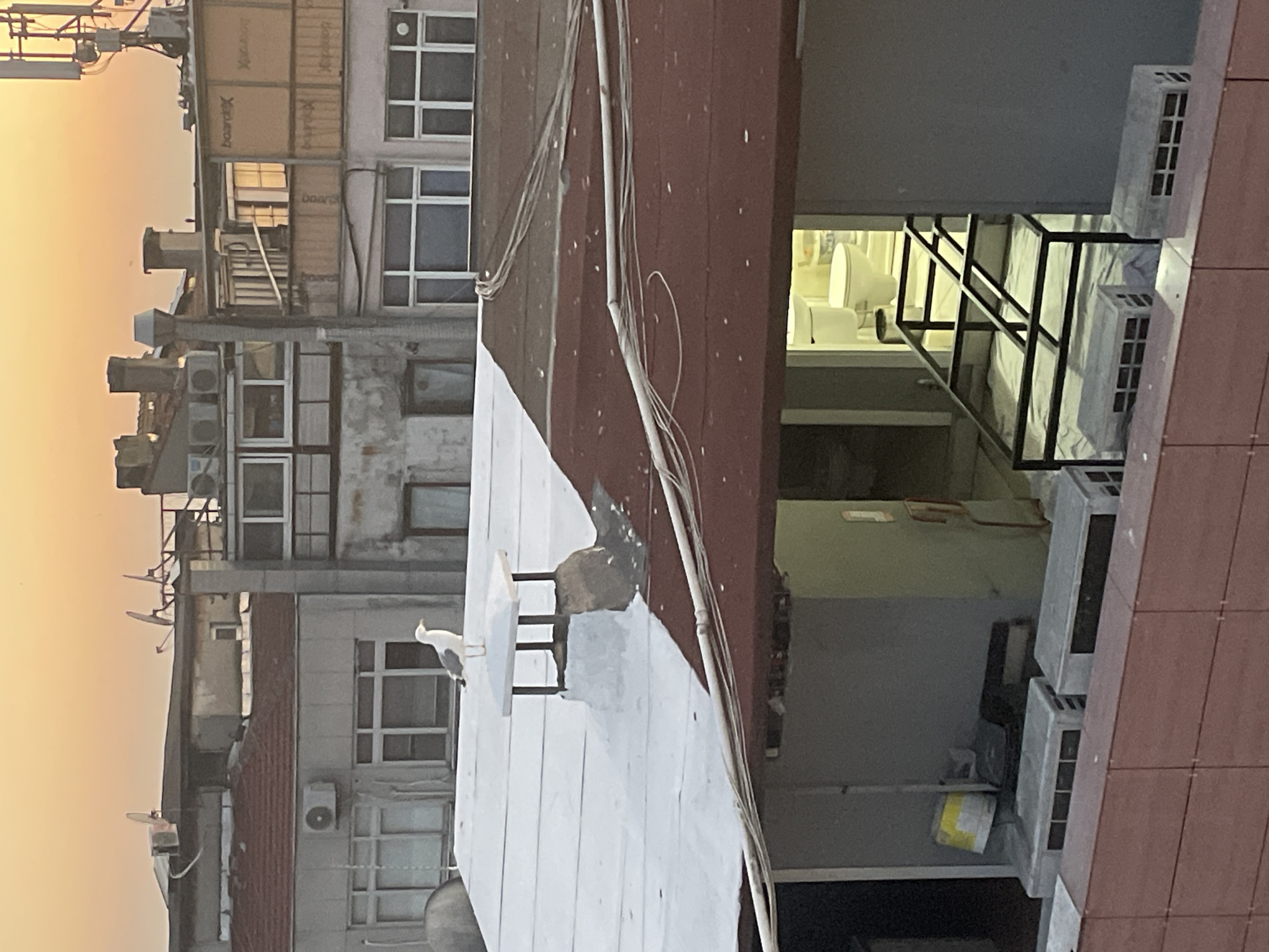 A seagull stands on a white rooftop chimney structure in the foreground, facing left. The rooftop is mostly covered in white material, possibly snow or insulation. Beyond this rooftop, other buildings are visible, with red-tiled roofs and multiple windows. Some buildings have visible air conditioning units. In the background, a clear orange sky suggests either sunrise or sunset. The lower portion of the image shows a glimpse into a room with a toilet visible. The scene appears to be an urban environment, likely Kadıköy, Turkey, given the architectural style and presence of a seagull common in coastal cities.