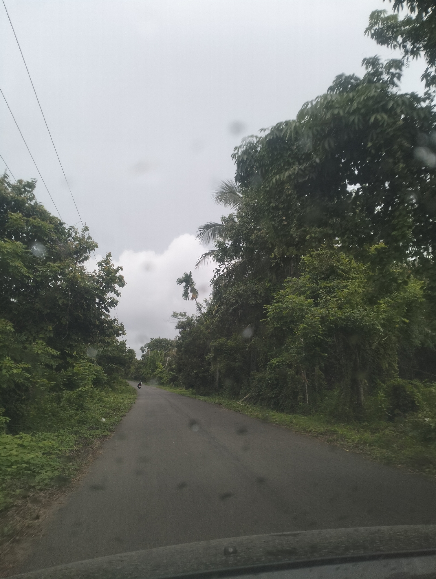 The image captures a view from a vehicle on a wet asphalt road surrounded by dense, lush green foliage. The road curves gently to the left, disappearing into the distance. On the left side of the road, a steep embankment covered in vegetation rises, with power lines running overhead. On the right, the vegetation is also dense, featuring a variety of trees, including palms. The sky is overcast and grey, suggesting a cloudy or rainy day. In the middle distance, a single individual on a motorcycle is traveling away from the camera. The foreground shows the dashboard or hood of the vehicle from which the photo was taken, with visible raindrops on the windshield. The scene appears to be a rural or semi-rural setting.