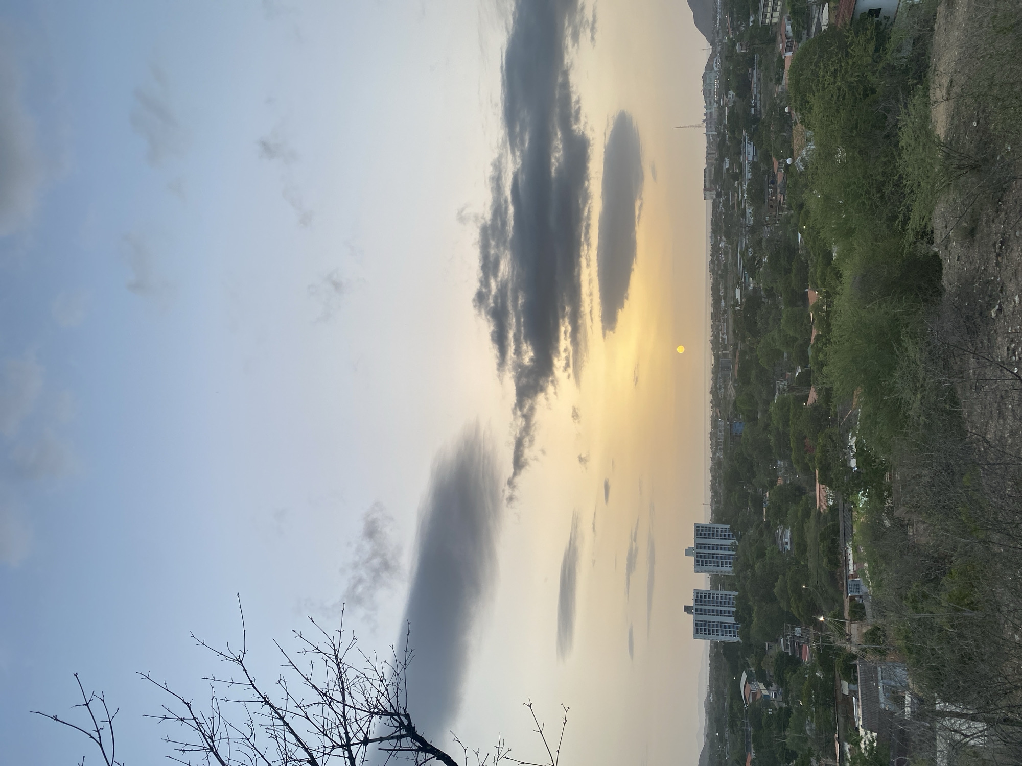 An aerial view captures the city of Juan Griego, Venezuela, under a twilight sky. The sun, a faint yellow disc, is low on the horizon, casting a soft glow through scattered clouds. The sky transitions from a pale blue at the top to a warm yellow near the horizon. In the foreground, bare tree branches extend from the left side of the frame, silhouetted against the sky. The middle ground is a densely vegetated urban landscape, characterized by numerous trees and residential buildings. Two prominent, tall, white buildings with many windows stand out against the greenery. In the distance, a hazy mountain range is visible, and the horizon suggests a body of water. The overall scene depicts a tranquil evening in the coastal city.