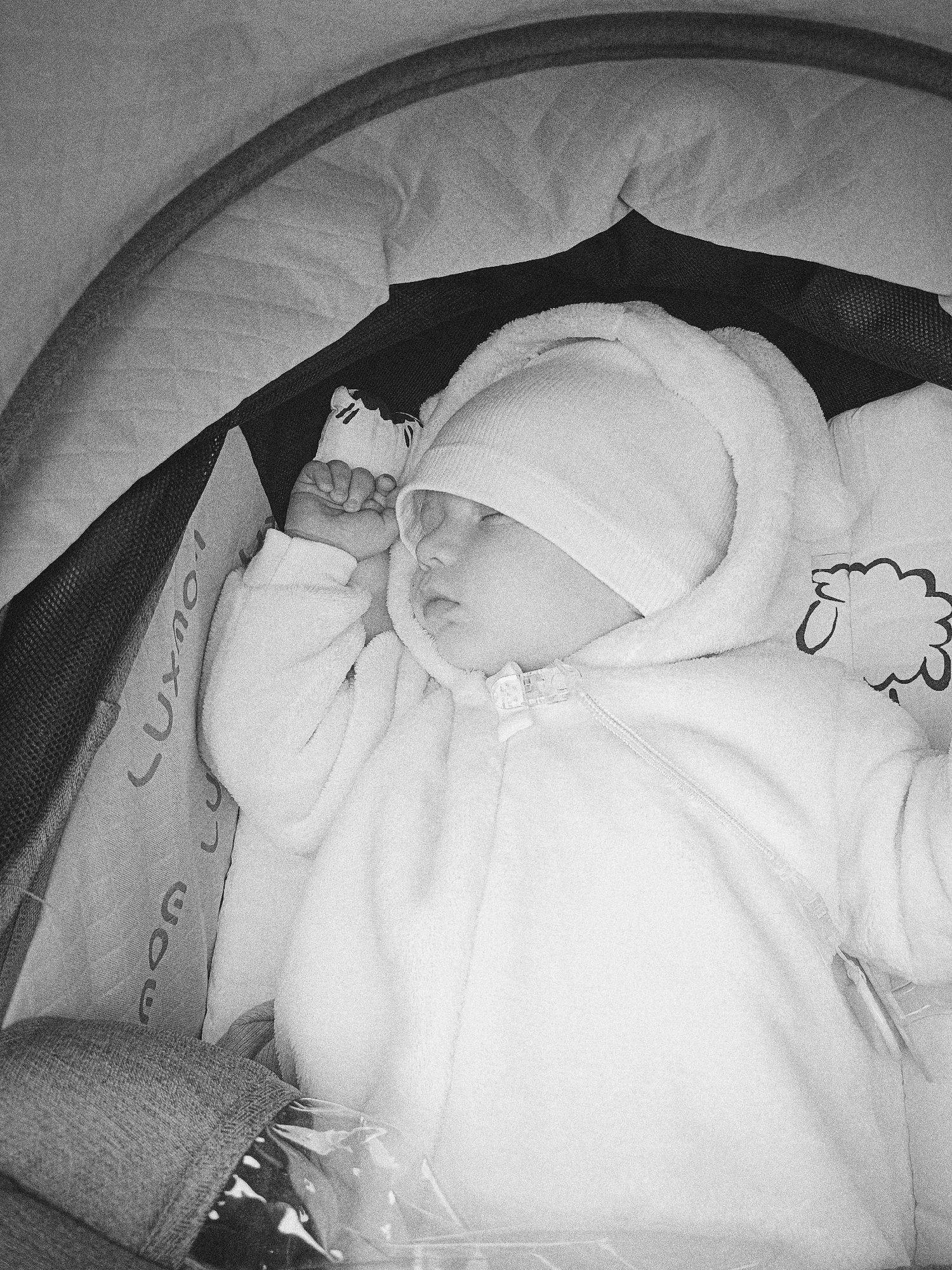 A black and white close-up depicts a baby sleeping in what appears to be a stroller or bassinet. The baby is wearing a hooded, zippered fleece onesie and a knit cap. The baby is on its back with one hand visible, holding a small stuffed animal. The surrounding environment appears to be the inside of a stroller, with the word "Luxmom" visible on the side. The location, Tobolsk, Russia, is not evident from the image content itself.