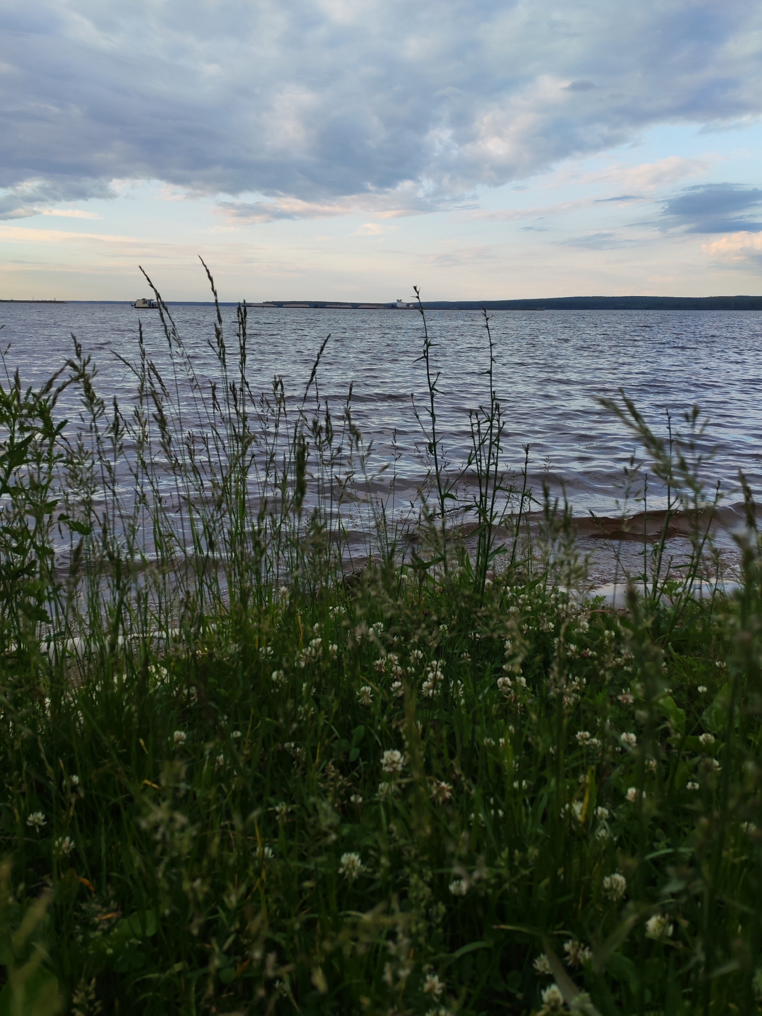 A serene waterscape is depicted with a foreground of lush green grass and small white wildflowers, interspersed with tall blades of grass catching the light. Beyond this vibrant natural border lies a vast body of water, rippling gently under an overcast sky. The water reflects the muted tones of the clouds, creating a textured, dynamic surface. In the distance, a narrow strip of land is visible, dotted with structures, including a distinct barge or ship. The overall scene suggests a peaceful, natural setting, possibly a lake or a wide river.
The time of day appears to be late afternoon or early evening, indicated by the soft, diffused light and the colors in the sky. The weather is cloudy, but there are hints of lighter skies and possibly some pale pink hues, suggesting the sun may be low on the horizon or breaking through the clouds. The presence of the barge implies human activity, perhaps related to transportation or industry, contrasting subtly with the tranquility of the natural landscape. The emotions evoked are those of calmness, introspection, and appreciation for nature. There is no visible text in the image. The location context of Chaikovsky, Russia, suggests this could be a scene along the Kama River or a similar large waterway in the region.