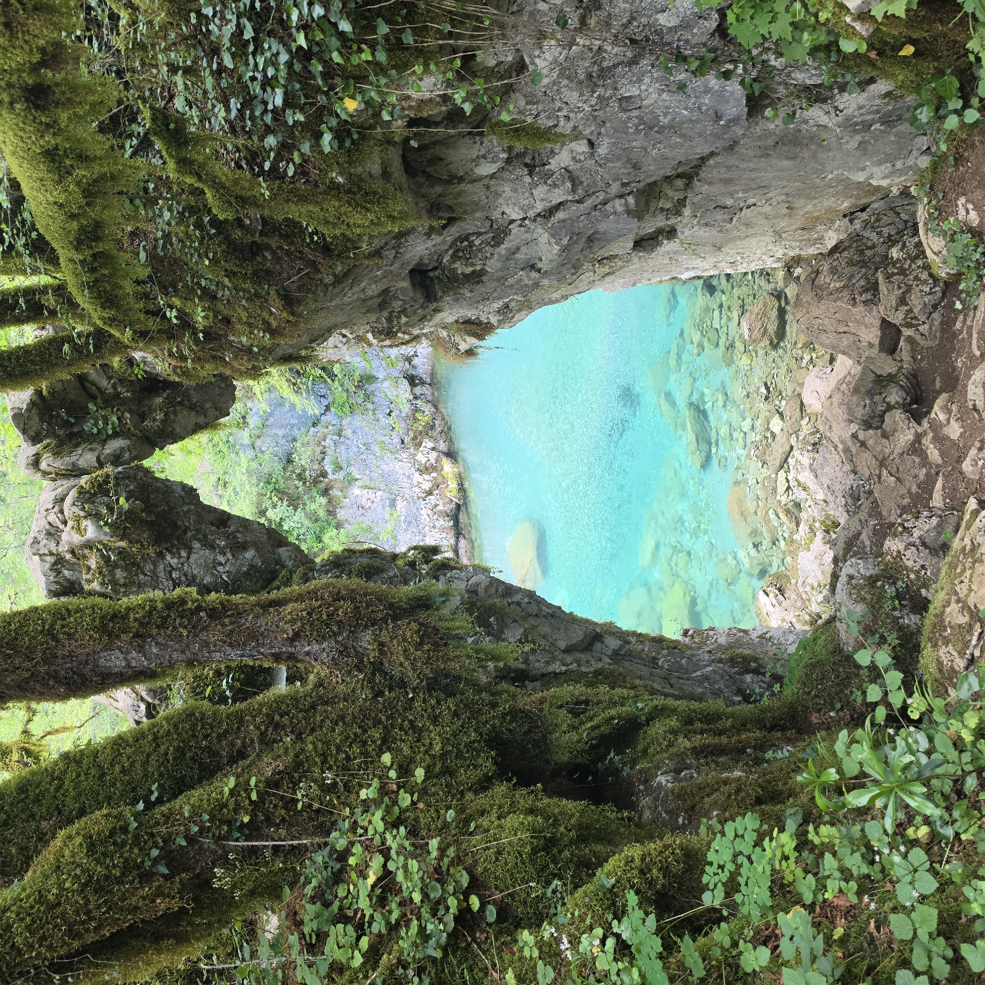 The image shows a pool of clear turquoise water framed by mossy rocks and trees. The water is shallow, with visible rocks on the bottom. Moss covers the surrounding rocks and trees, creating a lush, green environment. The location is in Lazba, Montenegro.
