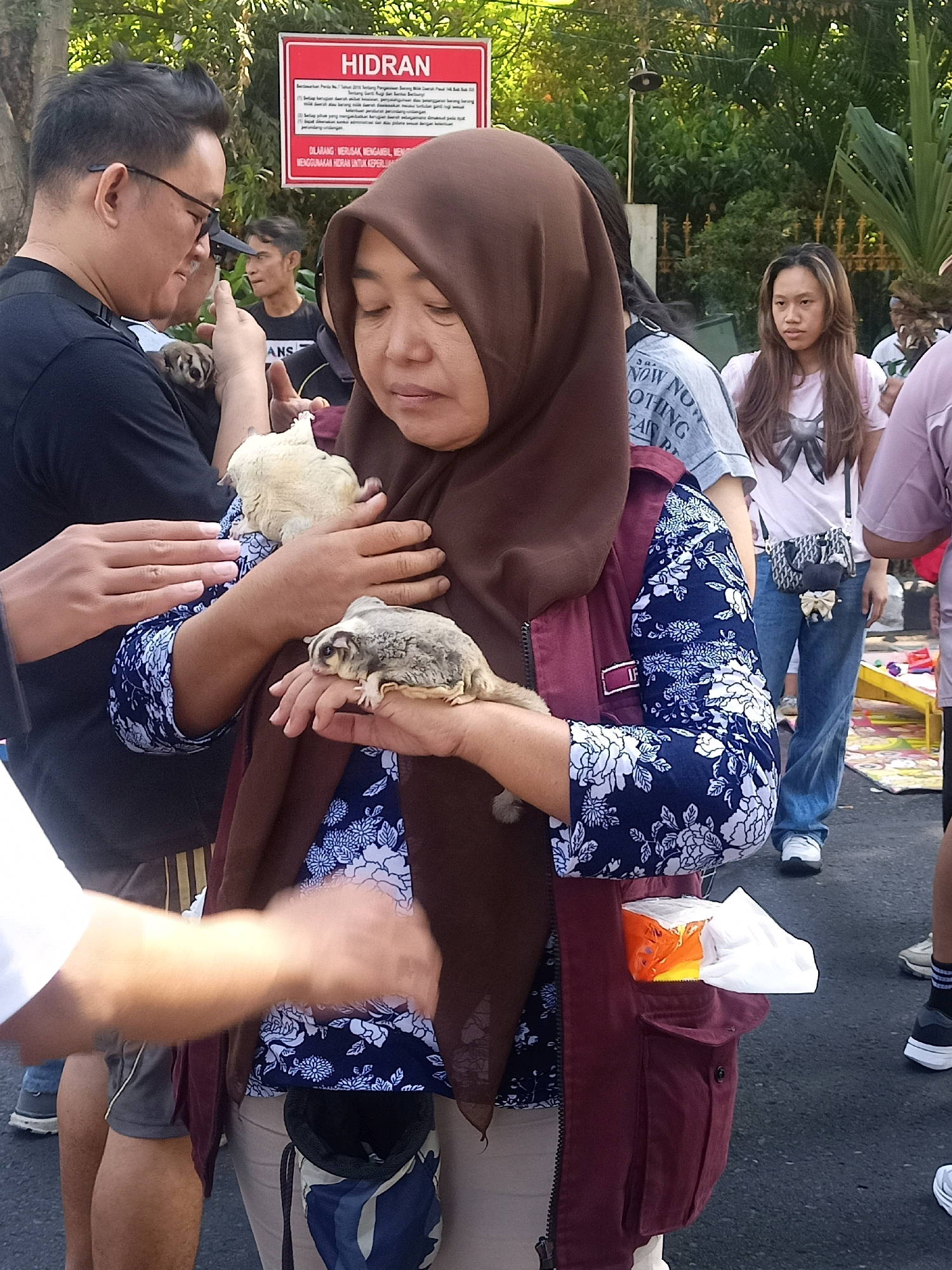 In Surakarta, Indonesia, a woman wearing a brown hijab and a blue floral patterned shirt is holding two sugar gliders. One sugar glider is on her left arm, and another is on her right hand. She is wearing a maroon vest over her shirt, and a pouch is attached to the vest containing an orange and white object. A man in a black shirt and glasses is to her left, looking at the sugar gliders. Several other people are visible in the background, along with trees and a red sign that reads "HIDRAN." The scene appears to be outdoors, possibly a public event or market.