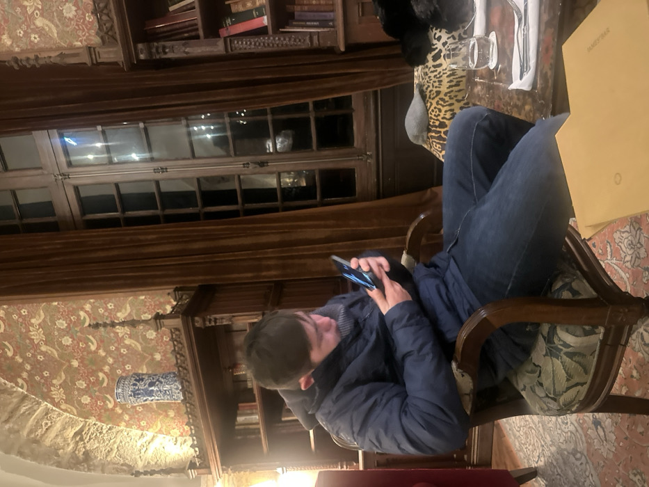 A man sits in an ornate chair, engrossed in his phone. He wears jeans and a blue jacket. The setting appears to be an old-fashioned establishment, perhaps a library or hotel, with dark wood, window panes, and rich textiles. A table nearby holds glasses, silverware, and a menu. The room has patterned wallpaper and decorative elements such as books and a blue and white vase.