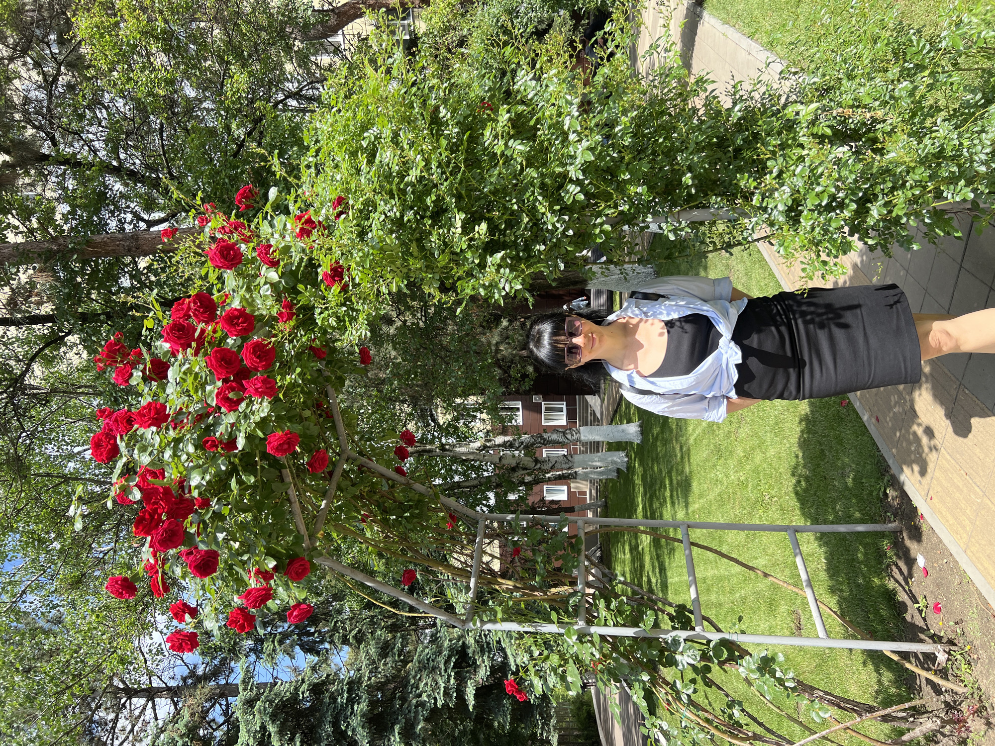 The image shows a woman standing on a paved path in a park. She is wearing a black dress with a light blue shirt tied around her waist. She also has sunglasses on. The park has a rose archway covered in red roses on the left. The park appears to be well-maintained with a grassy lawn. Buildings can be seen in the background, suggesting an urban location. The setting suggests the city of Krasnodar, Russia.