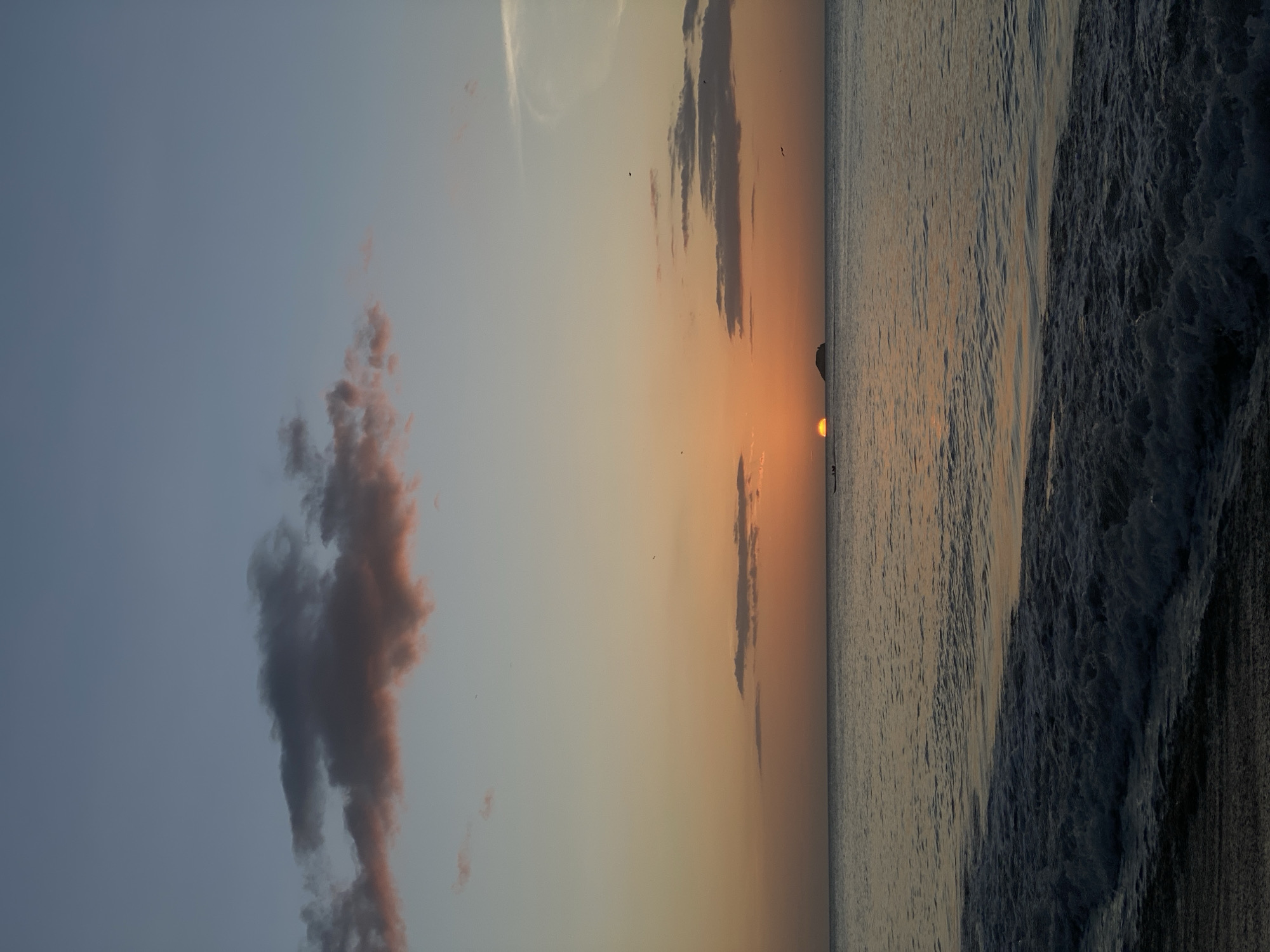 The image depicts a serene sunset over the Caribbean Sea, viewed from the shore in Pedro González, Venezuela. The sky transitions from a pale blue at the top to a warm orange and yellow gradient towards the horizon, with several wispy clouds tinged with pink and orange. The sun, a vibrant orange orb, is partially submerged below the horizon, casting a golden reflection on the water. In the distance, a small, dark island or rocky outcrop is visible. A lone, narrow boat is present on the water near the setting sun. The foreground features the gentle crest of a wave breaking on a dark, sandy beach, with the water appearing dark and textured. A few small birds are visible in flight in the sky.