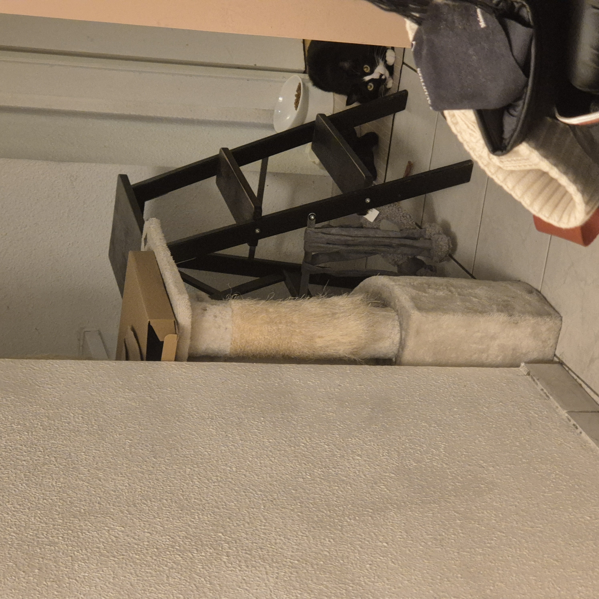 This image captures an indoor scene in a residence located in Strasbourg, France. The foreground on the left features a light beige, textured wall. Centrally, a cat tree with a plush, light-colored base and a tan sisal-wrapped scratching post is positioned. An open, empty brown cardboard box rests on the uppermost platform of the cat tree. To the right of the cat tree, a dark-stained three-step stool is present, with gray fabric draped over its lower steps. On the tiled floor in the mid-ground, a black and white tuxedo cat with yellow eyes is crouched low, facing towards the viewer. Behind the cat, an elevated white pet food bowl containing dry kibble is visible. A light-colored doorframe extends vertically in the background, behind the stool and cat. In the lower right foreground, a portion of a black container holds a cream-colored knitted item and a dark fabric object. No human subjects are present.