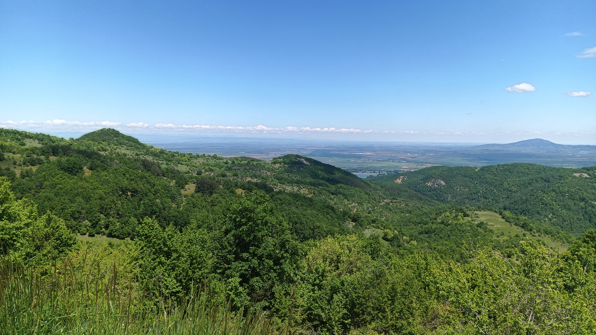 The image depicts a hilly landscape with lush green vegetation, likely taken near Oreshets, Bulgaria. Rolling hills covered in dense forest dominate the foreground and middle ground. In the distance, a flat plain is visible, potentially indicating the presence of a large lake or reservoir. A few scattered clouds dot the clear blue sky. A few mountains are visible along the horizon, indicating it’s a range in the distance. Tall grass grows in the foreground.