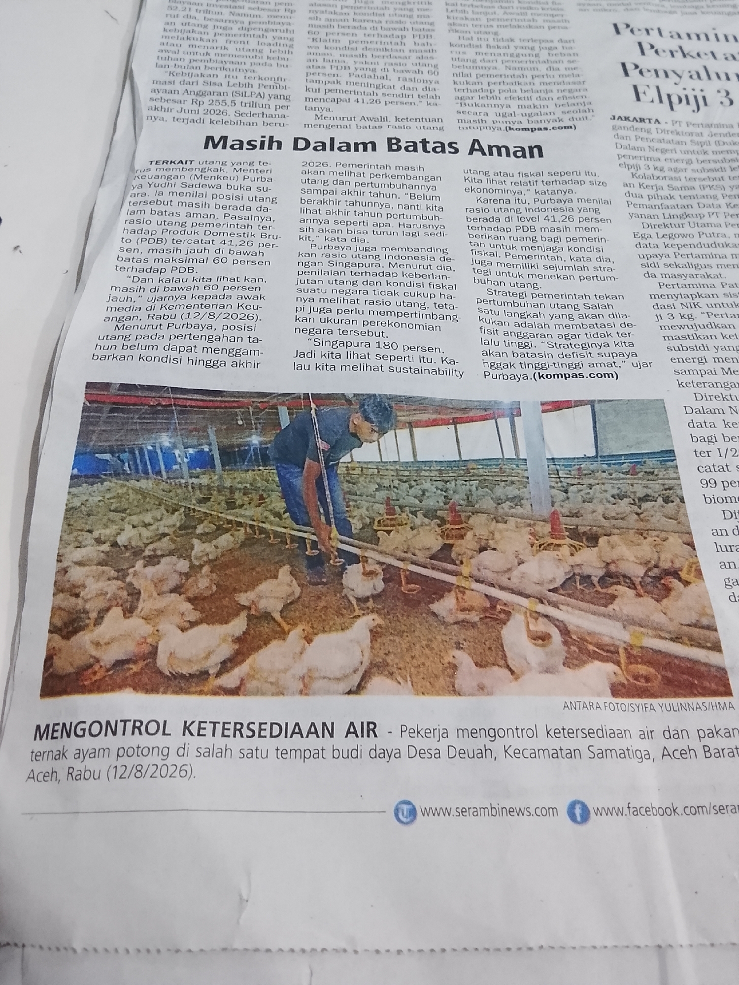 The image shows a news article with an accompanying photograph. The photograph depicts a man tending to a large group of young chickens in an indoor enclosure. The man, wearing a dark shirt and jeans, is partially visible as he is bent over, interacting with the birds. The chickens, mostly white and fluffy, are gathered on the ground, some near feeders. The enclosure appears to be a farm or a large-scale poultry operation, with rows of feeders and lights visible in the background. The caption beneath the photograph identifies the location as "Desa Deuah, Kecamatan Samatiga, Aceh Barat, Indonesia" and describes the action as "Pekerja mengontrol ketersediaan air dan pakan ternak ayam potong". The news article itself discusses debt and fiscal policy, with a headline mentioning "Pertamina".