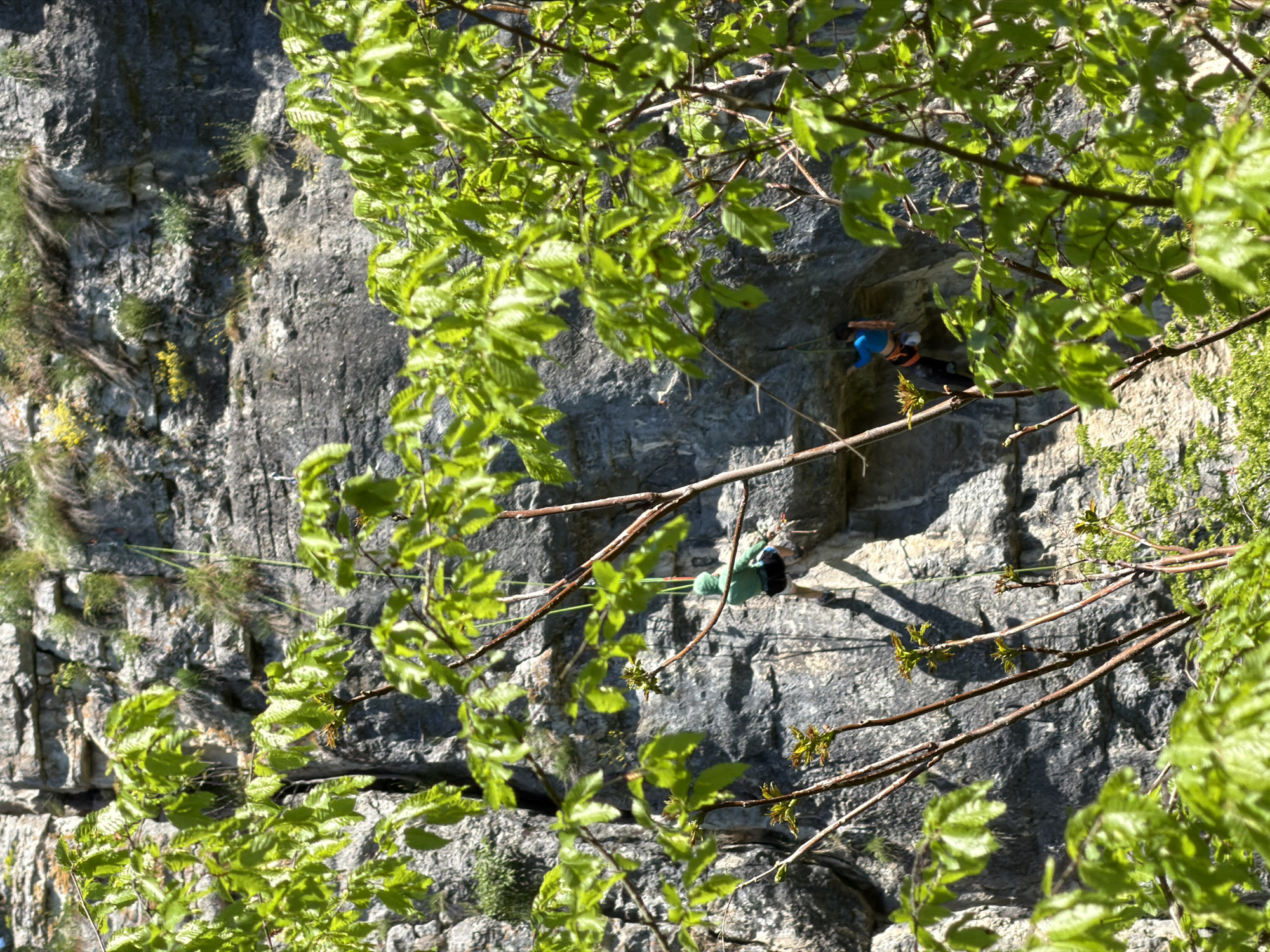A vertical outdoor shot shows a man rock climbing on a craggy, steep rock face, observed through the branches and leaves of a tree that obscures much of the foreground. The climber, wearing a blue helmet and what appears to be a blue shirt or harness, is attached to a rope that seems to be anchored higher up the rock face. Another climber is positioned below, wearing a green shirt. The location is Karlukovo, Bulgaria, evidenced by the distinct rock formations and vegetation. The overall scene suggests an adventurous activity in a natural environment.