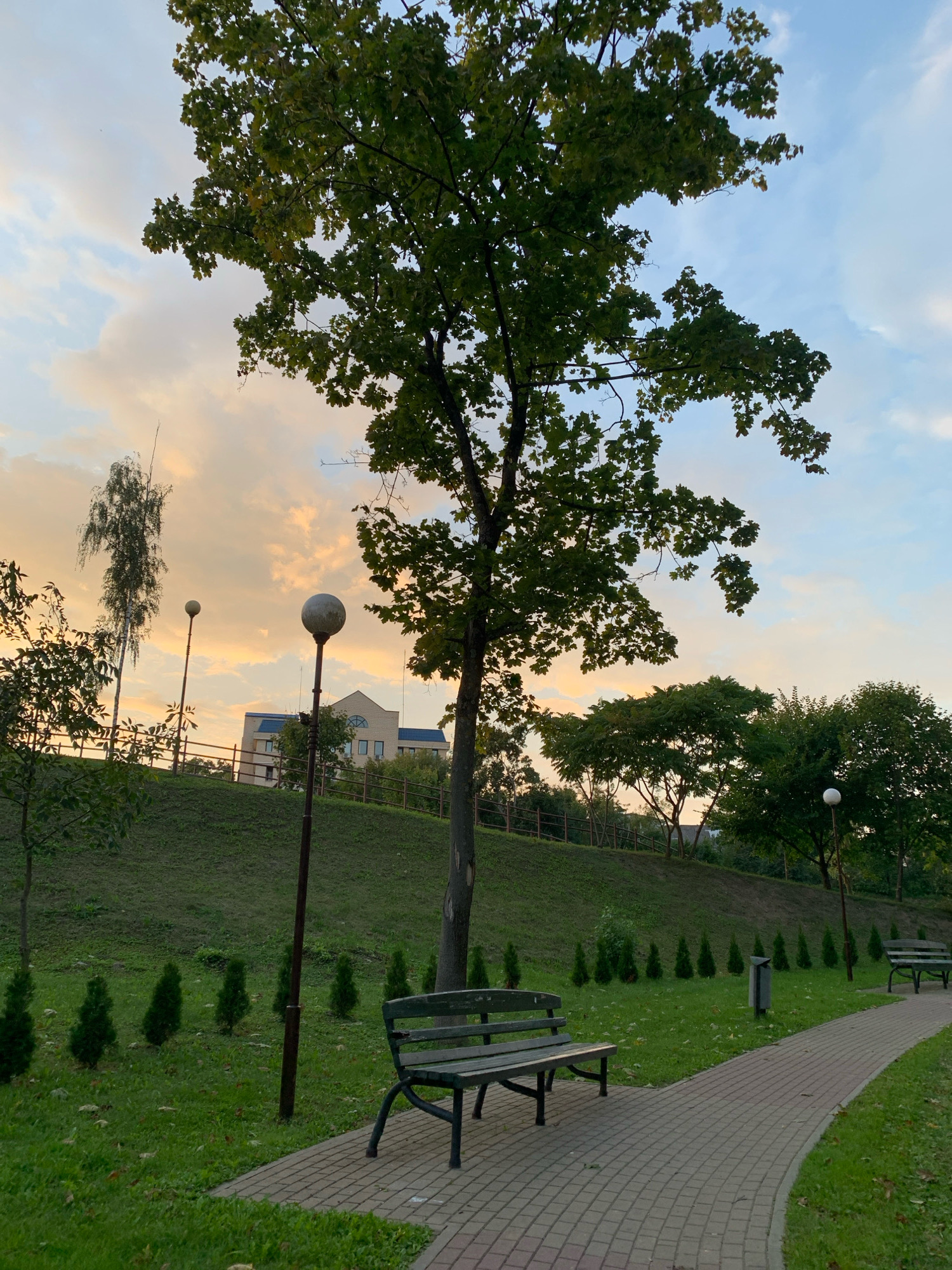 This is a photograph of a park in Hrodna, Belarus, taken during twilight. In the foreground, a paved pathway curves through a grassy area with several small, conical evergreen trees planted in a line. Two dark green park benches are visible, one in the middle ground on the left, and another further down the path on the right. Two lampposts with spherical lights stand along the pathway, with one in the middle ground to the left of the pathway and another further down to the right.
Behind the pathway and trees, a grassy slope rises, topped with a wooden fence. A tall, slender birch tree stands on the left side of the slope, and a large deciduous tree with dark green leaves dominates the center of the image. In the background, a light-colored building with a blue roof and multiple windows is visible, set against a sky with scattered clouds and tinges of orange and pink from the setting sun. The overall scene depicts a tranquil park setting at dusk.