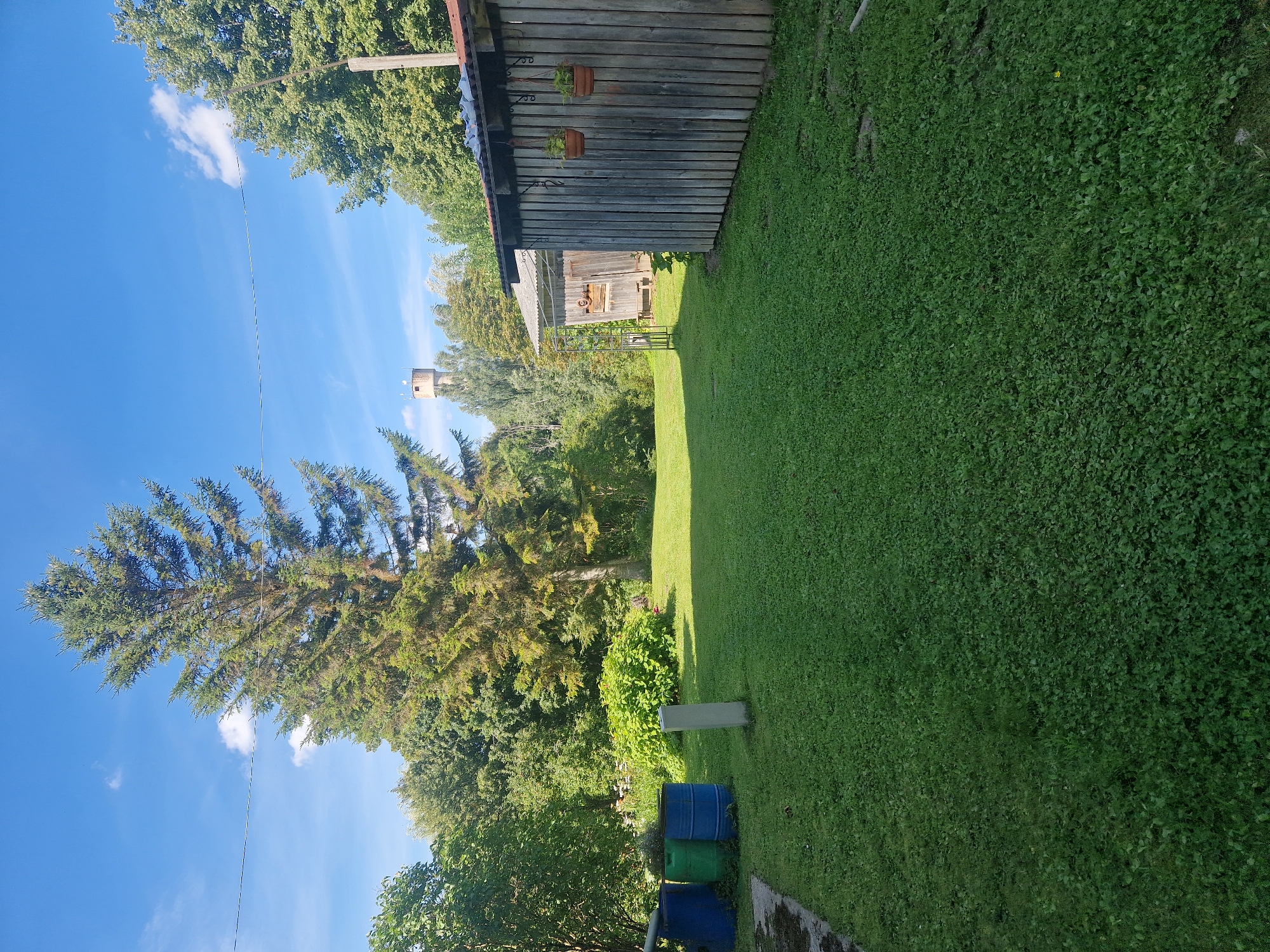 The image depicts an outdoor scene in Zemkopības institūts, Latvia. In the foreground, a lush green lawn covers the majority of the frame, with some clover visible. To the left, three large plastic barrels, two blue and one green, are positioned on a dark surface. A concrete post stands near the barrels in the middle of the lawn.

Further back, a wooden shed with a corrugated metal roof occupies the right side of the image. Two hanging planters with small plants are attached to the shed's wall. Behind this shed, another smaller wooden structure is visible, with a metal gate or frame in front of it.

Dominating the background is a large coniferous tree. Beyond the trees and structures, a water tower is visible in the distance against a clear blue sky with scattered white clouds. The environment appears to be rural or semi-rural, with a sense of natural landscaping and utilitarian structures. No people are present in the image.