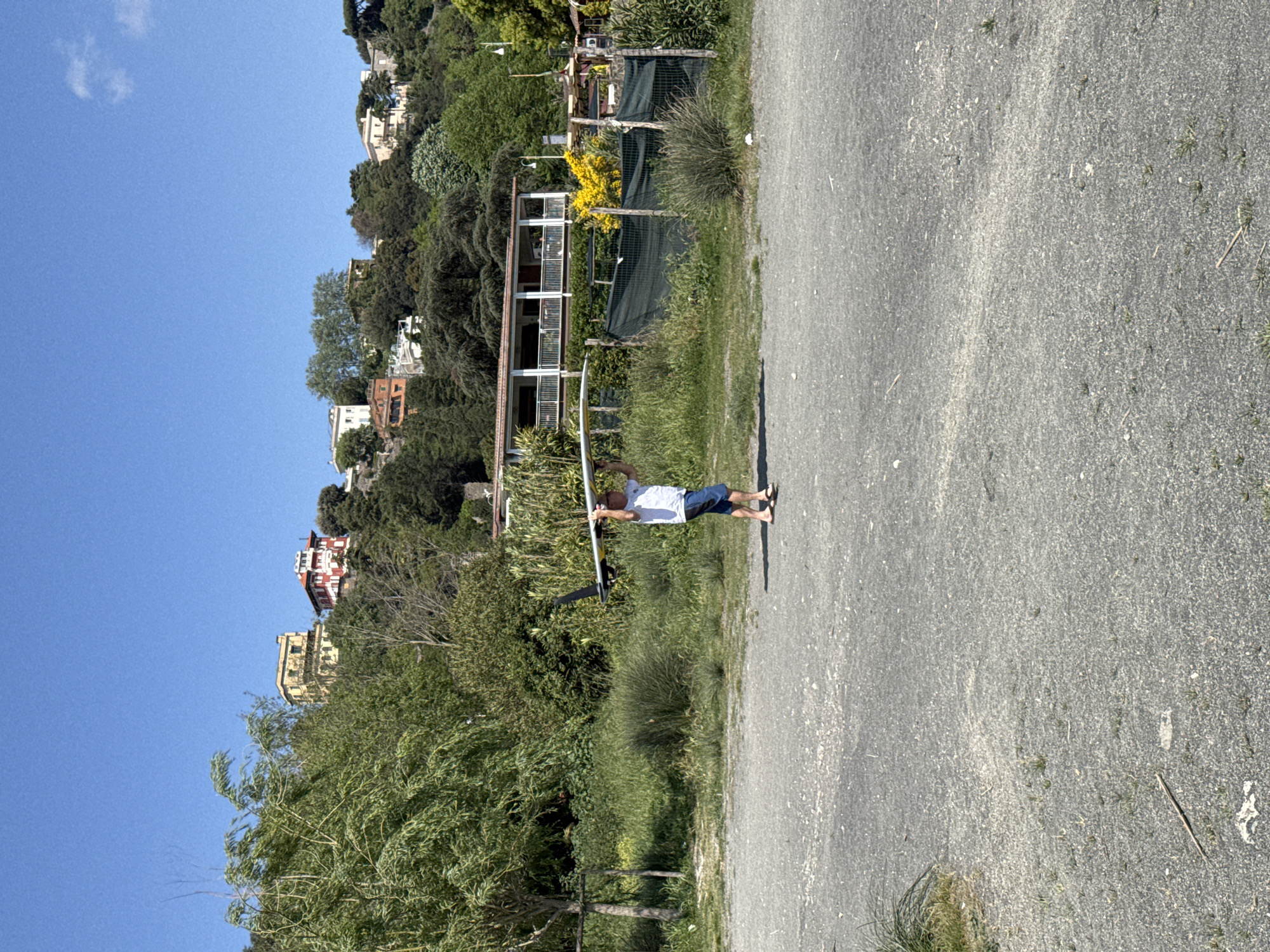 The image captures an outdoor scene on a bright, sunny day, likely during midday or early afternoon given the clear sky and strong illumination. The primary subject is a male adult standing on a gray, textured path or road, possibly composed of gravel or packed dirt. He is dressed in a white short-sleeved t-shirt, blue shorts, and dark flip-flops. With both hands, he holds a long, slender, silver-colored object horizontally above his head, resembling a paddle for watersports or a component of a wing/sail.
To the left of the path and extending into the midground, there is abundant green vegetation, including various trees, bushes, and tall grassy plants. Beyond this greenery, a steep, densely wooded hillside forms the background. Numerous residential buildings, appearing as houses or villas, are scattered across the hillside, peeking out from among the trees. These structures feature varying architectural styles and colors, with some being white, others displaying reddish or yellowish hues. One notable building in the midground features multiple balconies and is partially obscured by green fencing or netting, with a patch of bright yellow flowering bushes nearby.
The sky above is a vivid, clear blue, with only a few faint, wispy white clouds visible in the upper left corner. The overall setting suggests a pleasant, warm-weather environment, consistent with the provided location context of Castel Gandolfo, Italy. No visible text is present in the image.