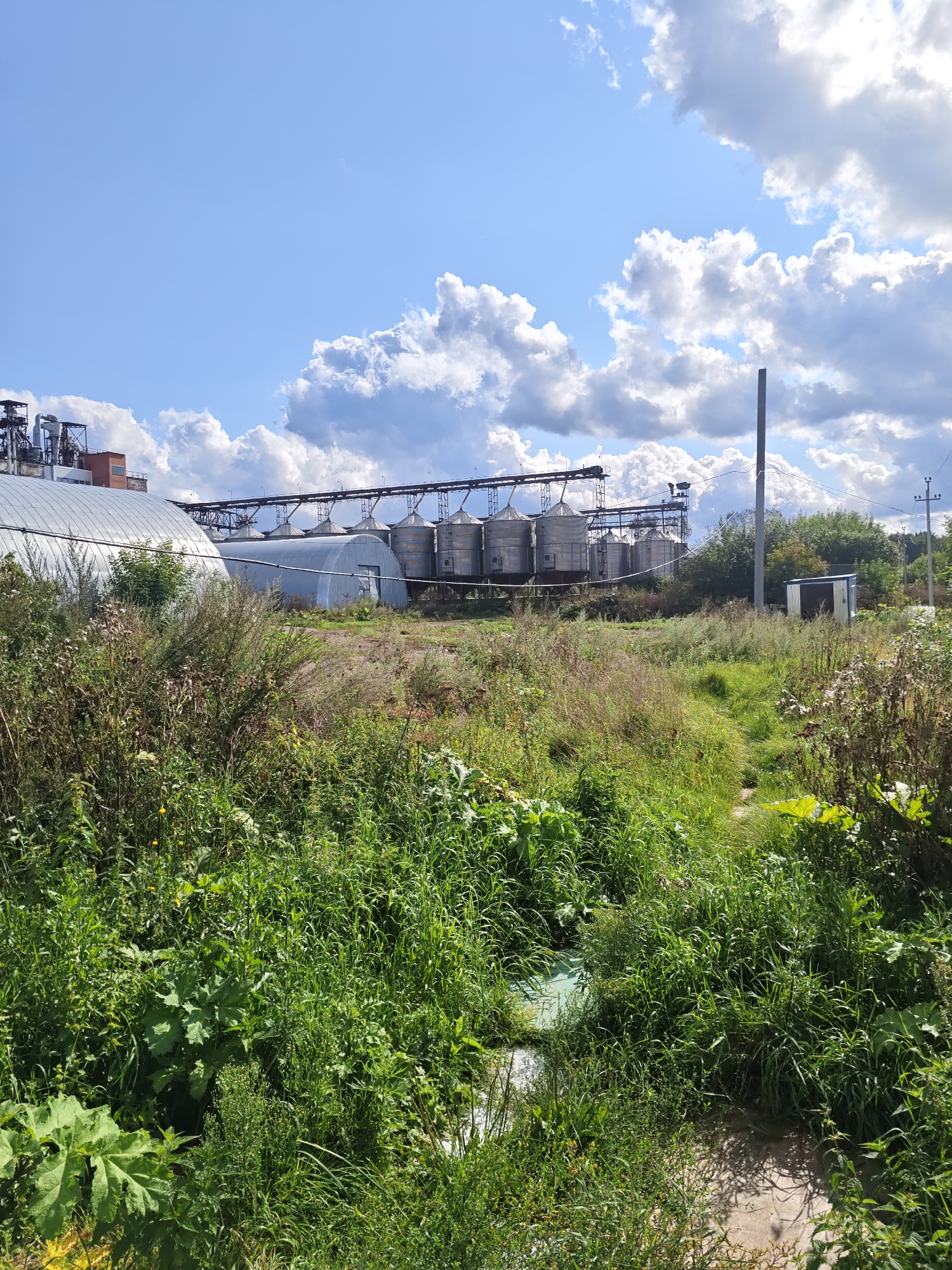 The image shows an industrial complex with silos and buildings on the left, situated in a rural or semi-rural area. The foreground is dominated by tall, green grass and weeds, with some larger plants visible. A path or dirt track winds through the vegetation. In the background, the industrial structures include several large, silver silos, connected by pipes and elevated walkways. Adjacent to the silos are large, curved, metal-clad buildings, one appearing to be a greenhouse or storage facility. Further in the background, there are trees and utility poles. The sky is blue with scattered, fluffy white clouds. A small, grey, shed-like structure is visible to the right of the silos. The overall impression is one of an agricultural or industrial processing facility located in a green, uncultivated landscape. The location is identified as Platoschino, Russia.