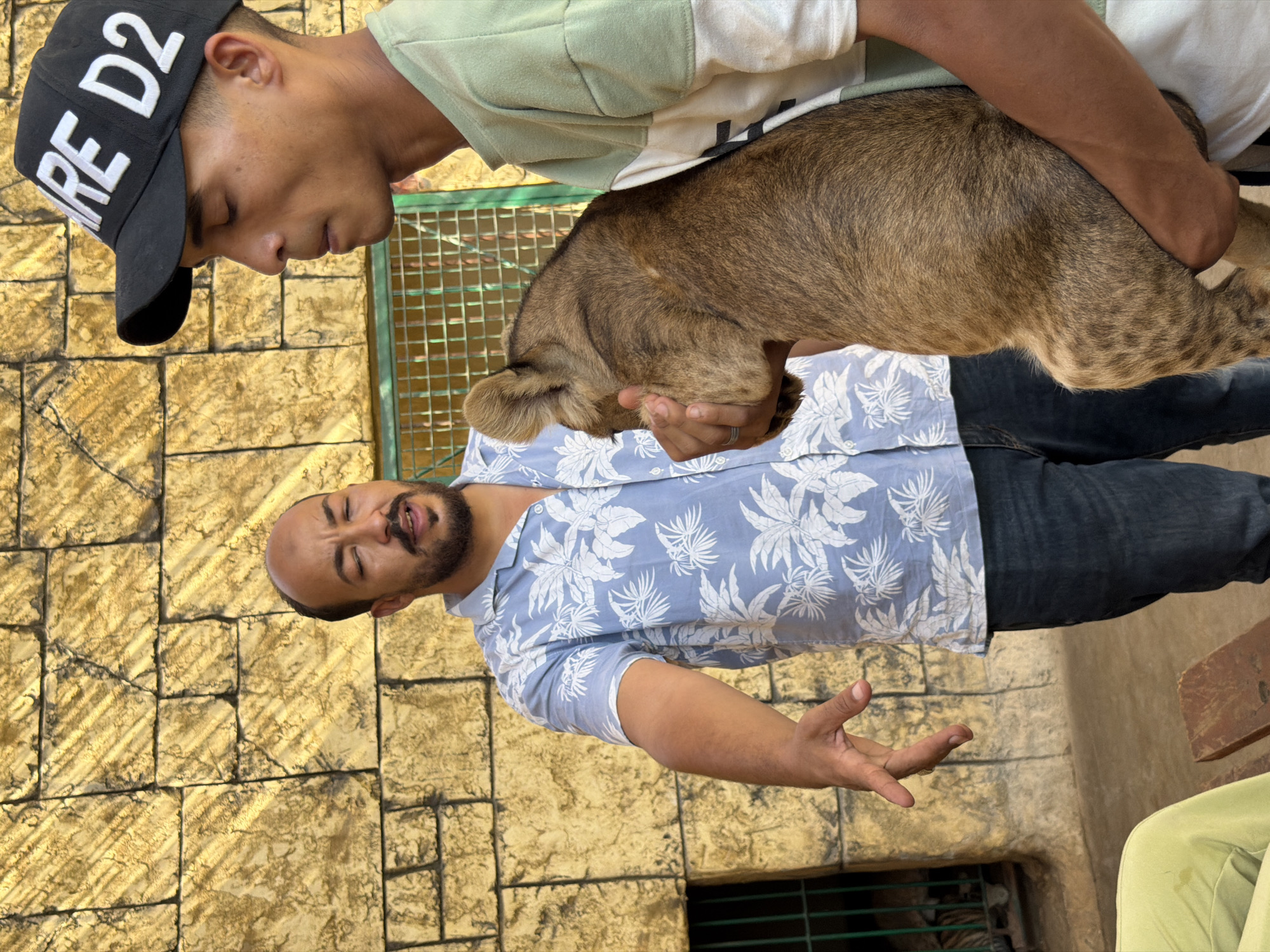 Two men are shown with a young lion cub in an outdoor setting. One man, on the left, wears a blue floral shirt and dark jeans, and is gesturing with his left hand. He appears to be speaking. The other man, on the right, wears a light green and white t-shirt and a black baseball cap that reads "AIRE D2". He is holding the lion cub, which is facing away from the camera. The background consists of a textured yellow stone wall and a green metal fence. The scene appears to be in a zoo or wildlife enclosure. There is a caged area visible through the fence on the left side of the image, containing what appear to be other animals. The lighting suggests it is daytime.
