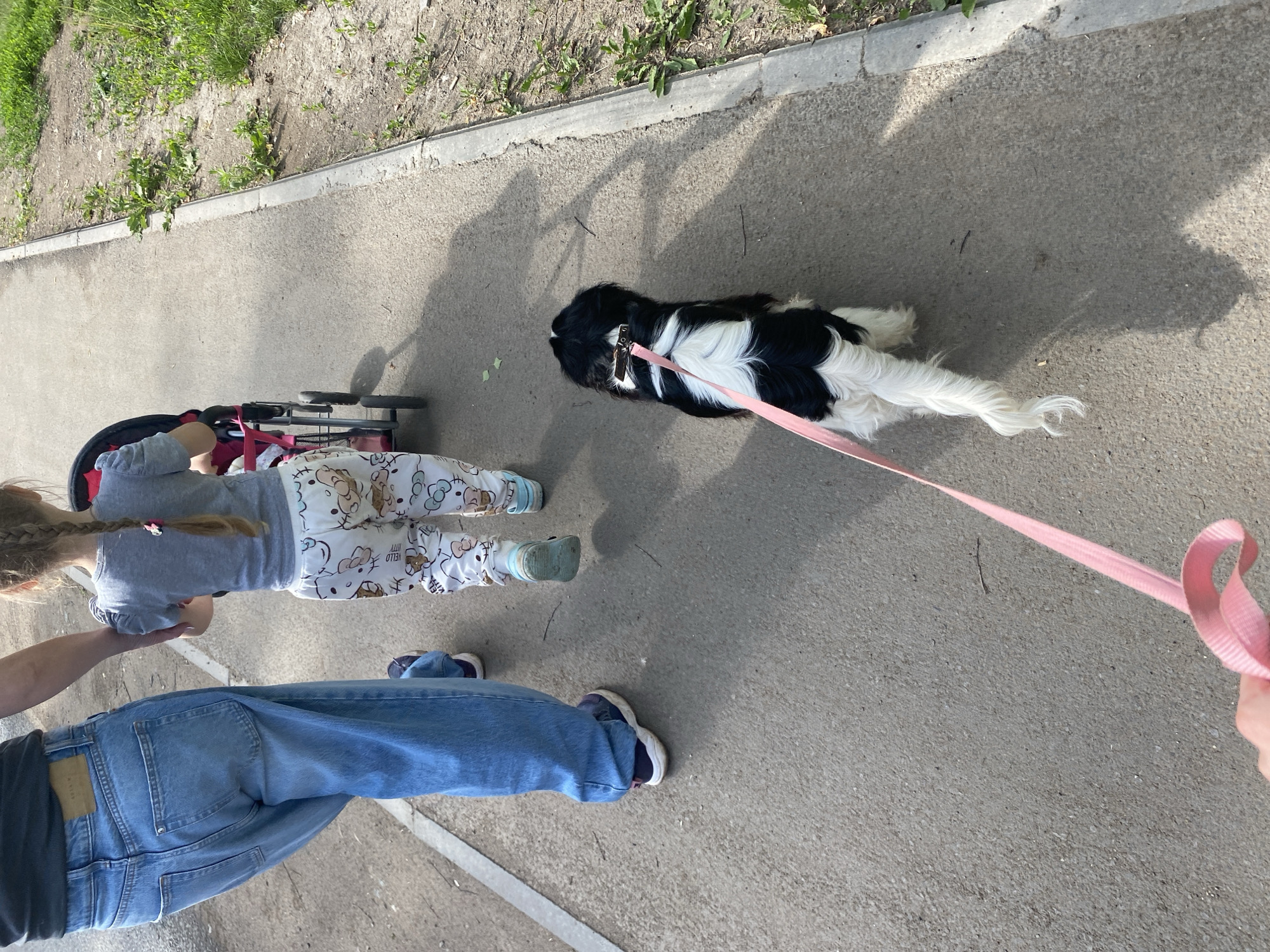 This image captures a person and a young child walking along a paved path. The person, from the waist down, wears loose-fitting light blue jeans and dark sneakers. The child, seen from the back, is wearing a grey t-shirt and white pants with a pattern of cartoon characters. They are pushing a pink stroller. A black and white dog on a pink leash walks alongside them. The path is bordered by a grassy area with some weeds. The scene appears to be in Votkinsk, Russia, given the context provided.