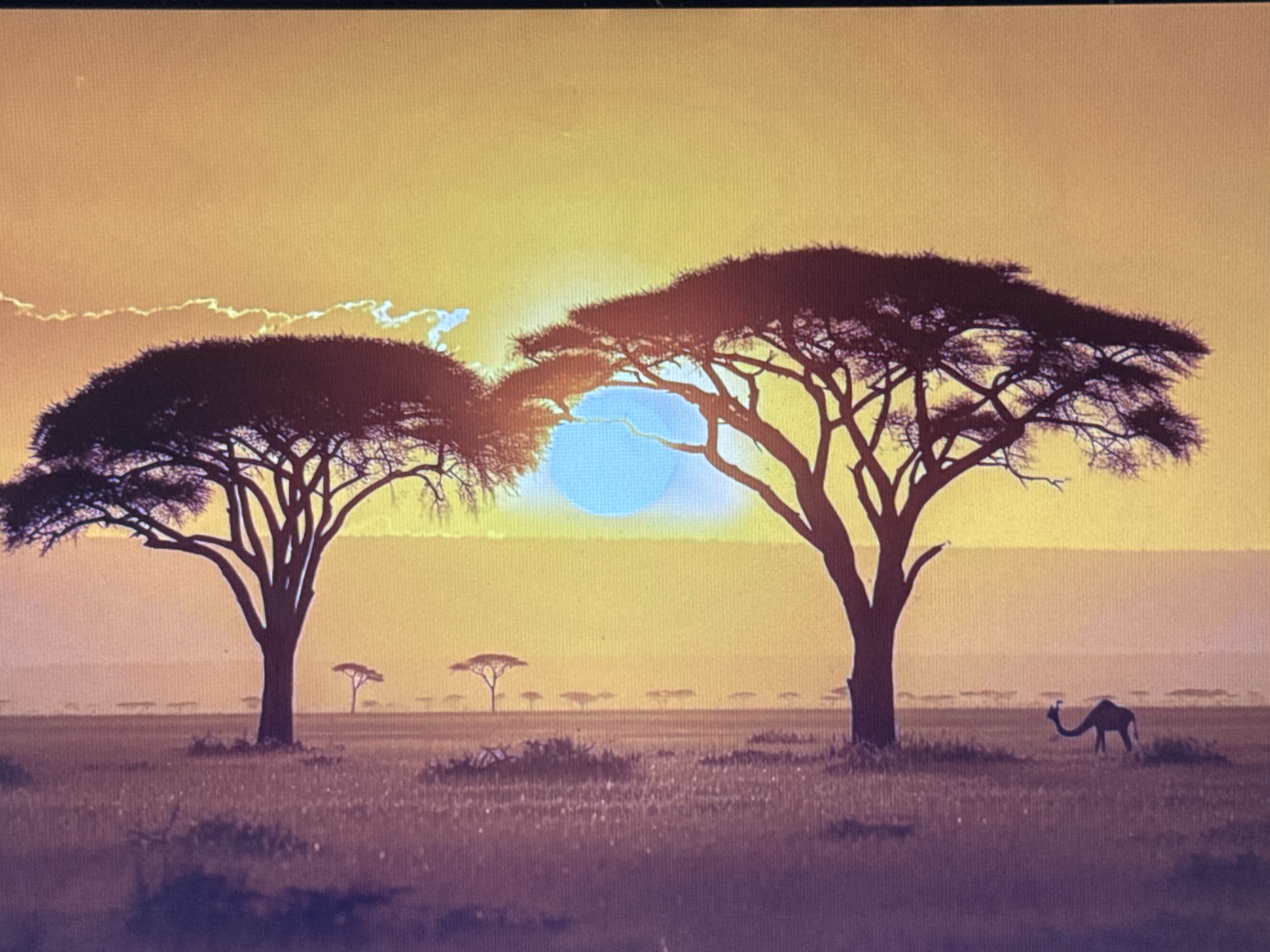 An outdoor, low-angle, full shot captures two silhouetted acacia trees framing a bright, hazy yellow and orange sunrise in the sky. The sun is a large, bright blue circle partially obscured by the branches of the trees. Wispy white clouds streak across the top of the frame. The ground in the foreground is covered in dry grass and brush, with a few smaller silhouetted acacia trees in the middle ground. On the right side of the frame, a silhouetted camel walks across the grassy plain. The image is rendered with a grainy texture.