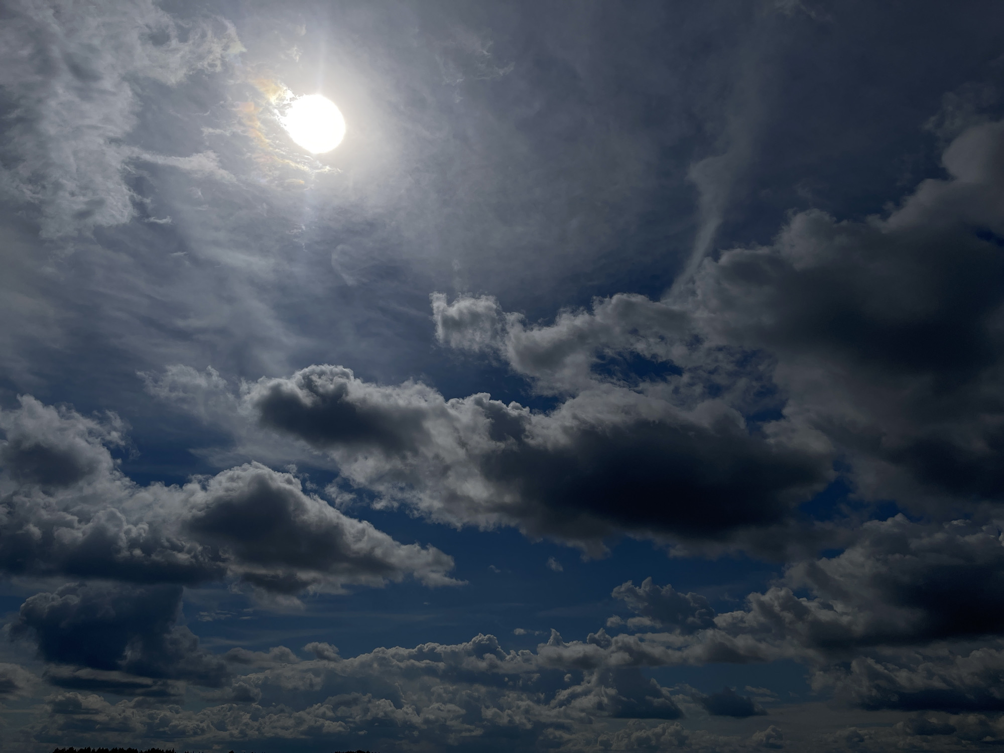 A wide-angle photograph captures a dramatic sky filled with a mix of dark, heavy clouds and thinner, wispy formations. The sun is visible in the upper left quadrant, partially obscured by a thin veil of clouds, creating a bright halo effect with subtle rainbow hues around its circumference. The overall lighting suggests either early morning or late afternoon. A dark, silhouetted line of trees or foliage runs along the bottom edge of the frame, hinting at a terrestrial landscape beneath the expansive sky. There are no people or discernible structures in the image, and no specific details can be identified to confirm the location as Maksimovo, Russia.