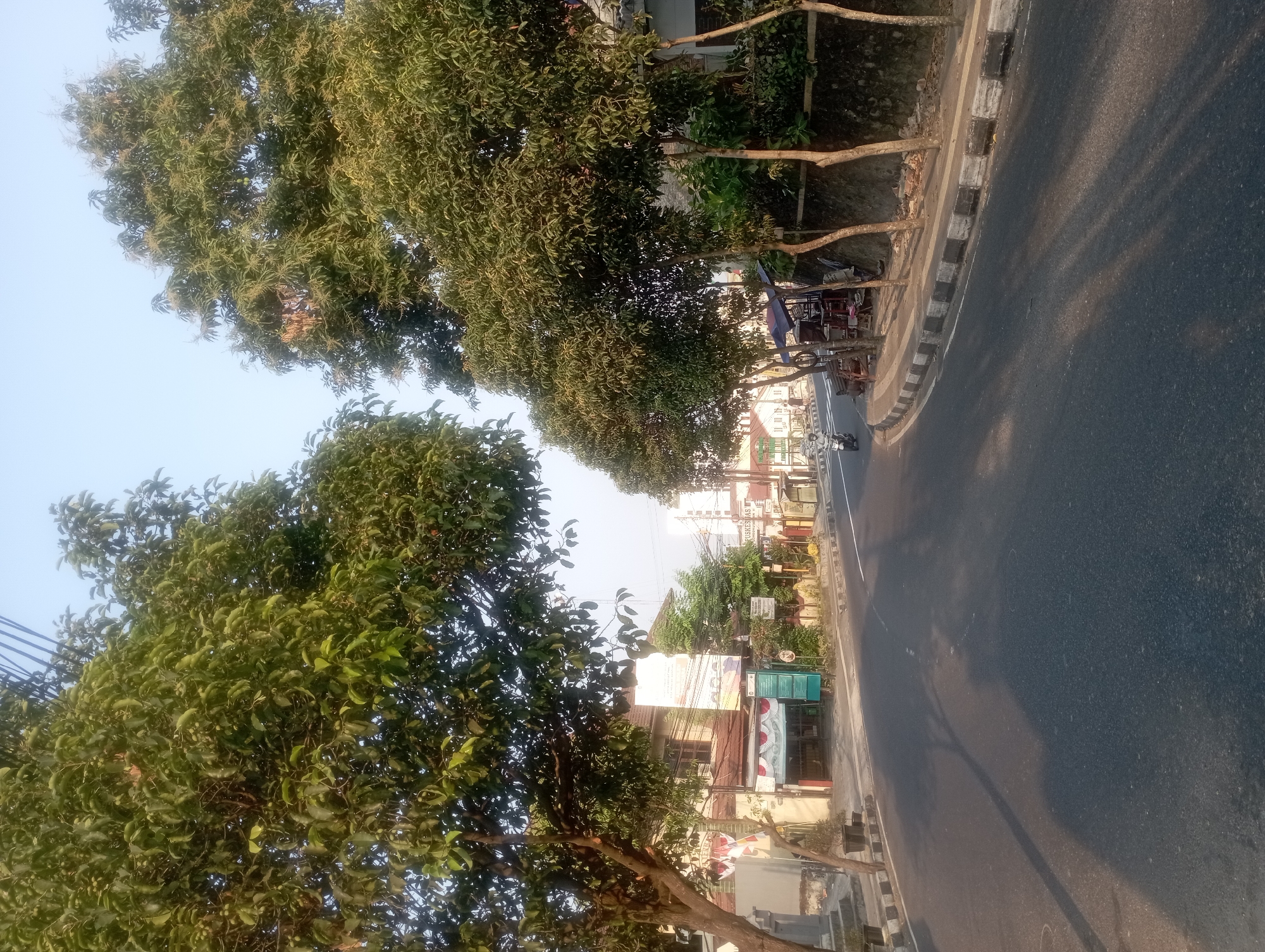 The image shows a street scene in Yogyakarta, Indonesia, likely during the morning or late afternoon, indicated by the long shadows cast by trees. The road is paved and appears to be a main thoroughfare, with a slight curve to the right. On the left side of the road, there are buildings with shops or businesses, one of which has a sign that reads "PUSKESMAS". A motorcycle is visible on the road, and a few people are near the shops. The right side of the road features a sidewalk lined with trees, some of which are mature with dense foliage. Small stalls or kiosks are set up along the sidewalk, selling goods. The sky is clear and light blue. The overall impression is that of a typical urban street in Indonesia, with active commerce and daily life unfolding.