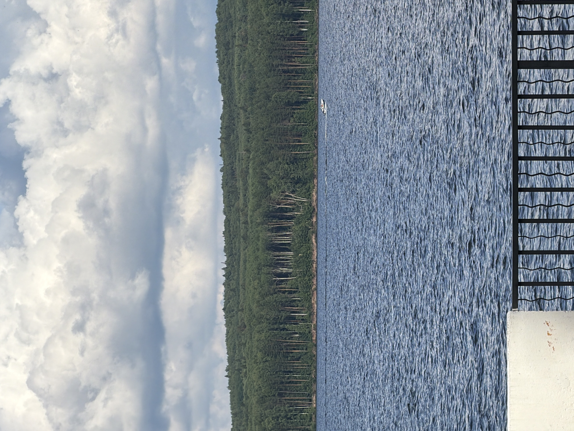 The image shows a body of water with a dense green forest along its edge. A small white boat with a single person is visible in the water, moving from left to right. The water is rippled and appears to be a lake or calm sea. The sky is filled with white and grey clouds, suggesting a partly cloudy day. On the right side of the image, there is a black metal fence with a wavy pattern in its horizontal bars, and a white concrete structure in the foreground. The overall scene depicts a serene natural landscape with a touch of human activity. The time of day appears to be daytime, given the lighting. The location is indicated as Chaikovsky, Russia. There is no visible text in the image.
