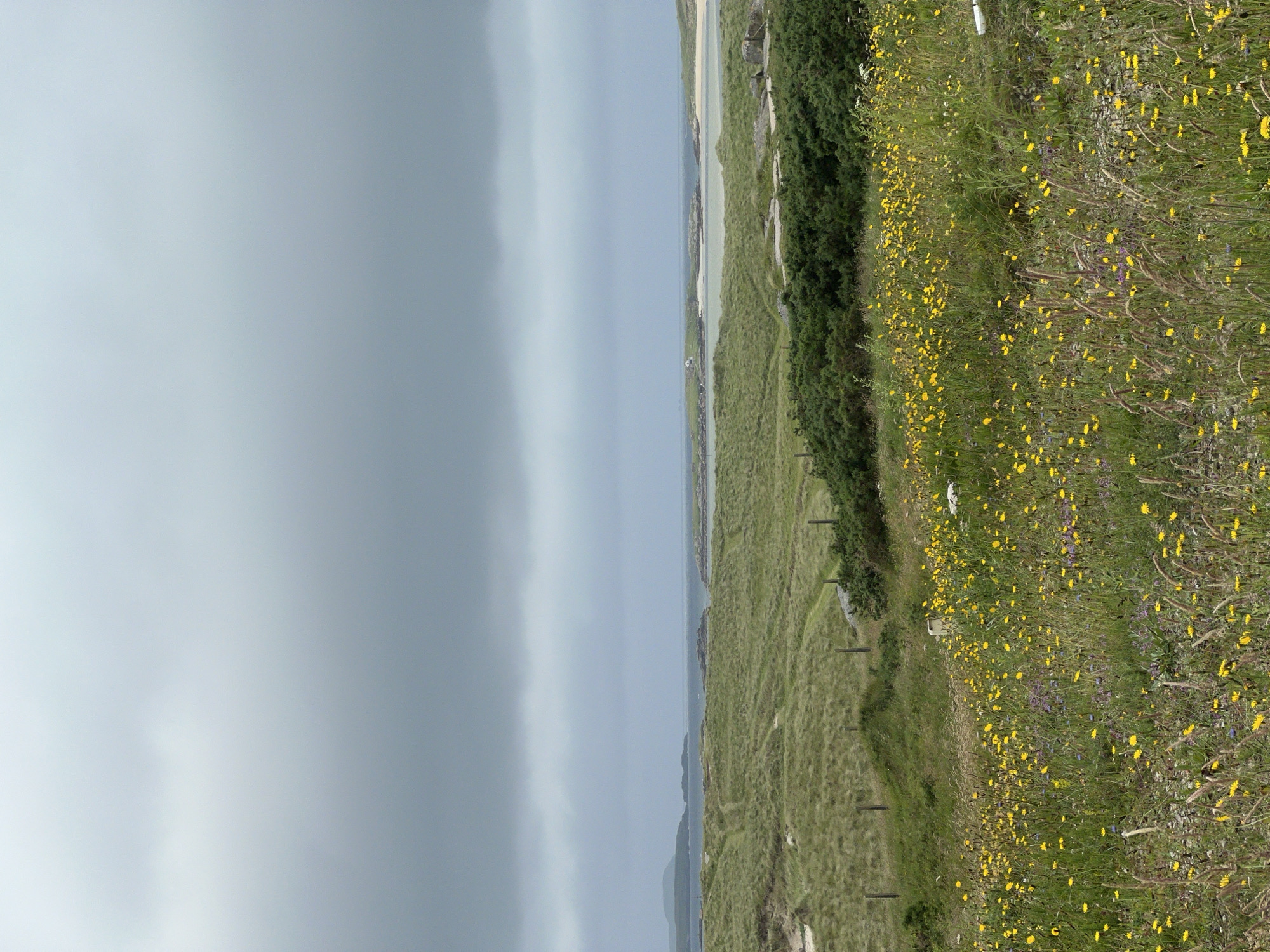 The image depicts a coastal landscape in Bunbeg, Ireland, characterized by rolling green hills covered in grass and dotted with yellow wildflowers in the foreground. A thick band of dark, overcast sky dominates the upper portion of the frame. In the middle ground, a body of water, likely the Atlantic Ocean, is visible, with islands and a sandy beach in the distance. The overall impression is one of a wild, natural environment under a dramatic sky. There are no people or animals visible in the scene. The terrain appears rugged and untamed, with paths winding through the grassy hills. The vegetation consists primarily of coarse grasses and low-lying bushes, with a profusion of small yellow flowers in the immediate foreground. The distant islands are low-lying and covered in vegetation.