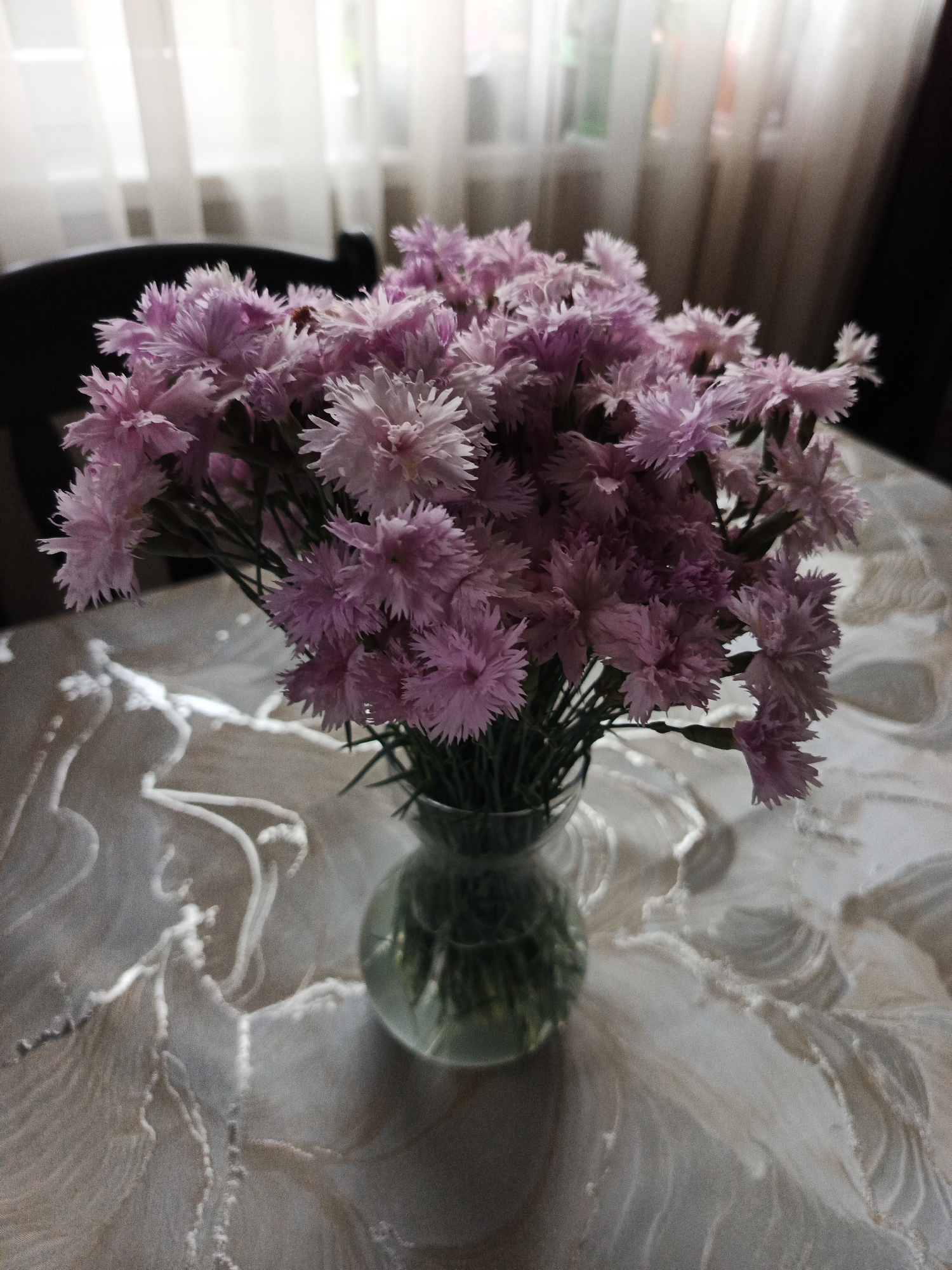 A bouquet of light purple and pink carnations sits in a bulbous glass vase on a patterned beige and white tablecloth. The vase is partially filled with water. A dark chair is visible in the background, along with sheer white curtains filtering light from a window. The scene is indoors, likely in a home. There is no evidence indicating the location is Stroevo, Bulgaria.