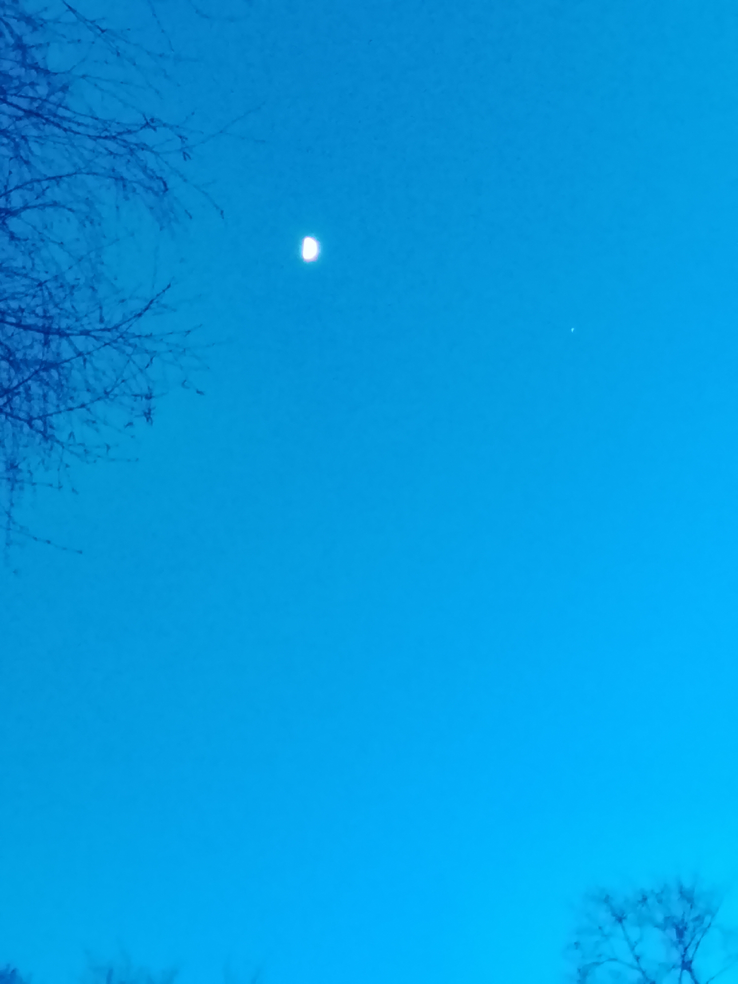 The image captures a serene twilight or nighttime scene, dominated by a deep, vibrant blue sky. No people are visible. The primary celestial object is a bright, yellowish-white crescent moon positioned in the upper-left quadrant of the frame. To the right and slightly below the moon, a faint, tiny white speck is discernible, likely a star or a distant planet.
Silhouetted against the intensely blue sky are the intricate, bare branches of trees. A prominent cluster of these dark, leafless branches occupies the upper-left corner, extending downwards and across. A smaller, less distinct cluster of branches also appears in the lower-right corner, subtly breaking the expansive blue. The clear sky suggests a lack of clouds. The overall impression is one of quiet contemplation under an early evening or pre-dawn sky, observed through the skeletal forms of winter trees in a natural setting. There is no visible text. The location context given is Chaikovsky, Russia.