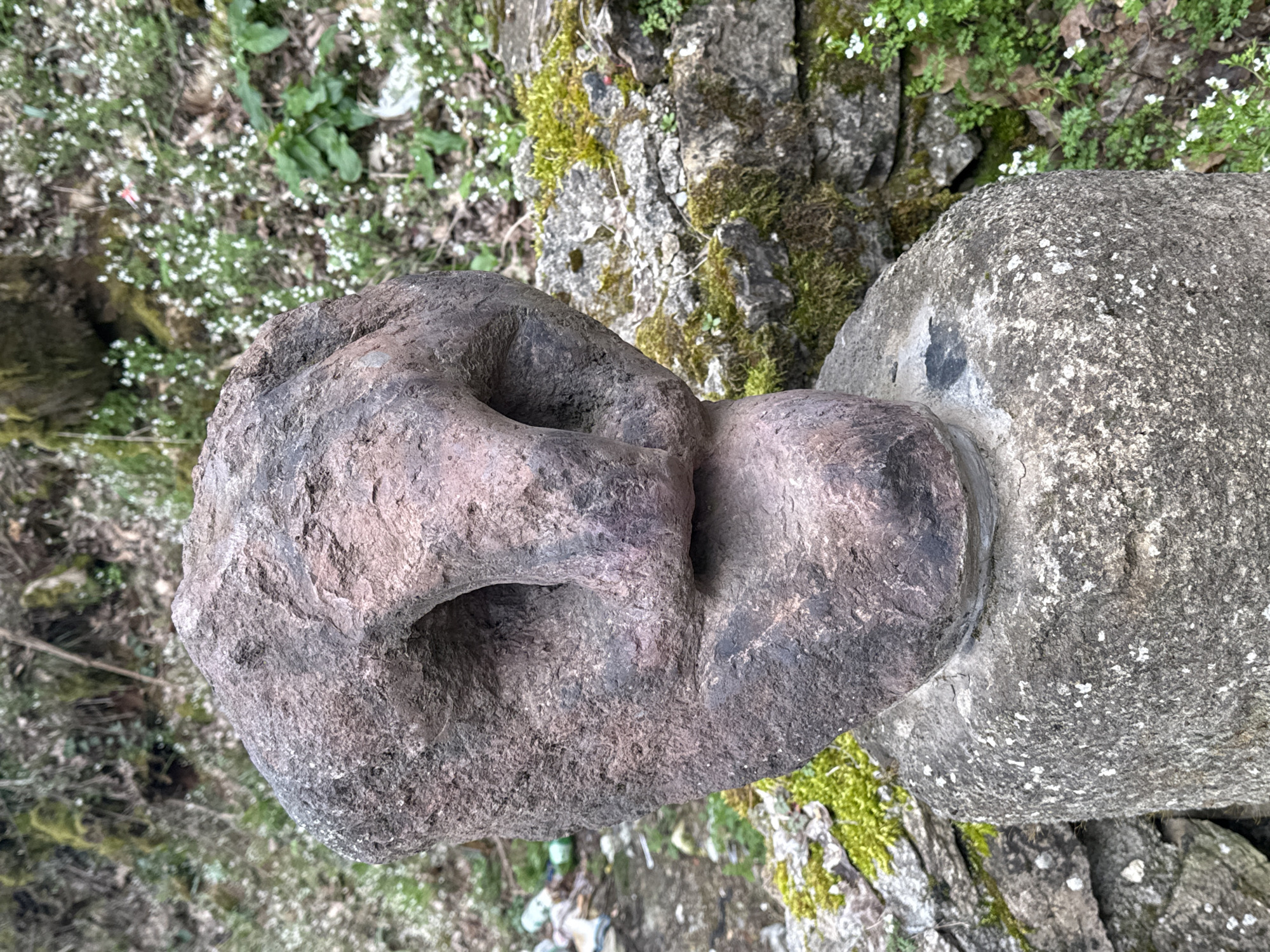 A stone head statue, likely part of a larger monument, sits outdoors near moss-covered rocks and vegetation, including small white flowers, in Konche, Bulgaria. The statue is composed of two distinct parts: the head itself, made of a darker, rougher stone with stylized facial features including hollowed-out eye sockets, and a cylindrical base, constructed from a lighter, speckled stone. The statue rests on a rocky, uneven surface with organic matter visible in the surroundings, suggesting a natural or semi-natural environment. There are no people visible in the frame.