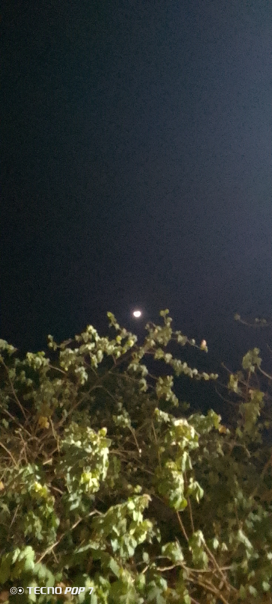 A low-angle, slightly blurry, nighttime shot shows the moon partially obscured by the branches and leaves of a tree. The leaves appear greenish in the available light. The background is a dark, overcast sky. The camera is identified as a TECNO POP 7, indicating a possible location or origin. Based on the location request, this scene is potentially in Altagracia, Venezuela.