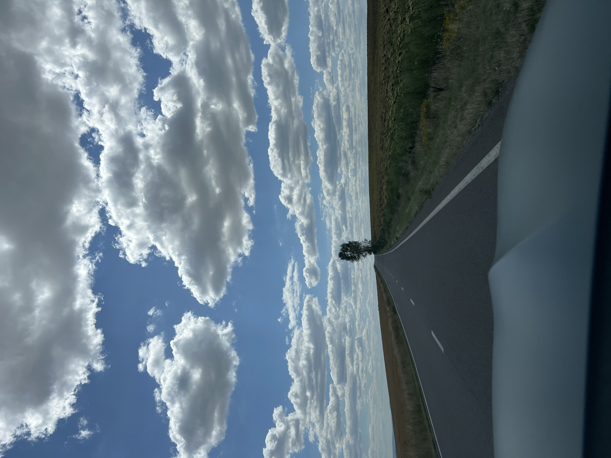 The image captures a view from a vehicle driving on a paved road in Românești, Romania. The road stretches ahead, curving slightly to the right, with white dashed lines marking the lanes. To the right of the road, a field of tall green vegetation, possibly crops, is visible. To the left, another field, appearing drier and golden brown, slopes upwards. In the distance, a solitary tree stands prominently against the horizon. The sky is a vibrant blue, dotted with numerous fluffy white clouds, some of which are larger and more dense than others. The foreground of the image shows the hood of the vehicle from which the photo is taken.
