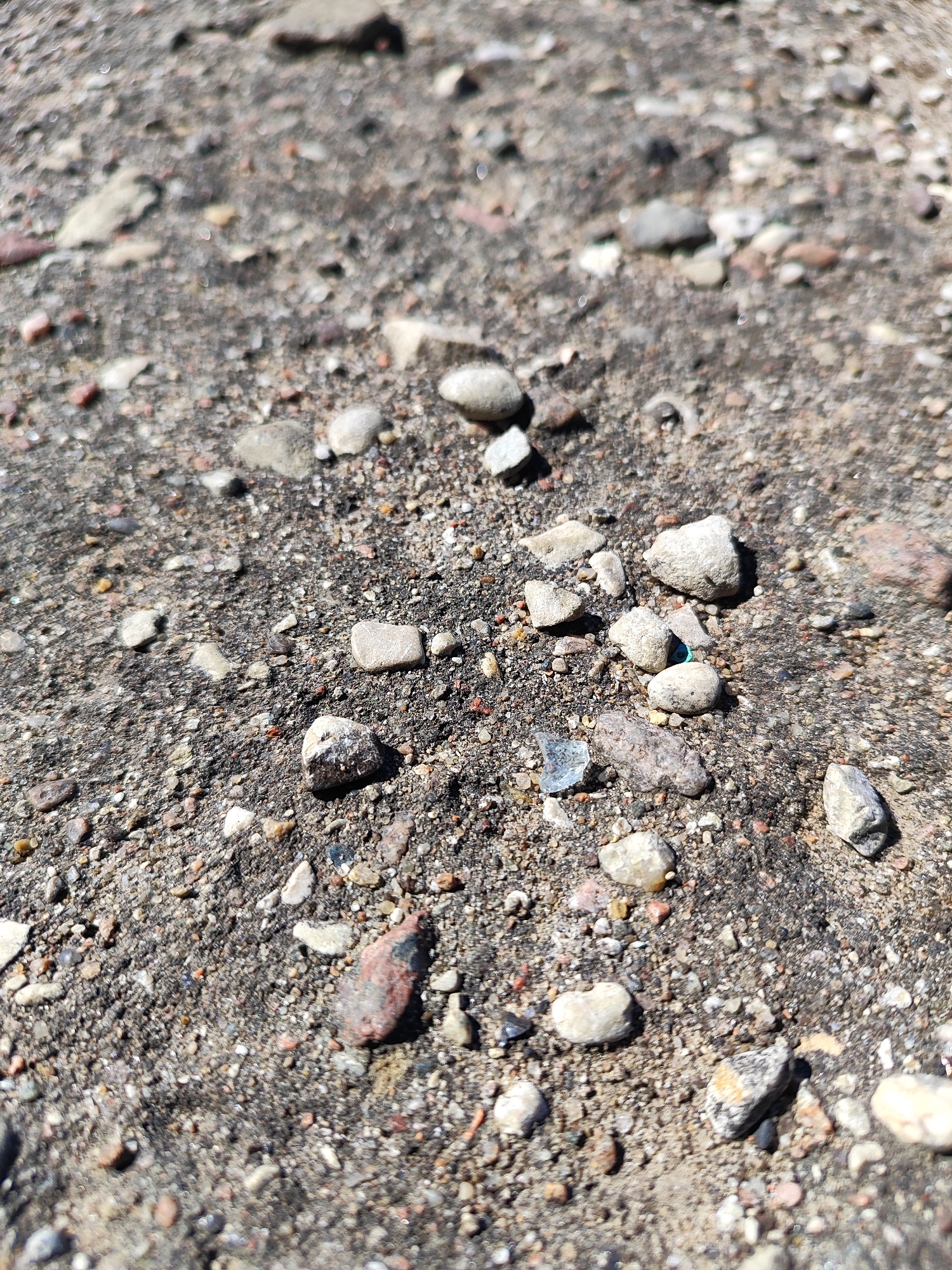 The image shows a close-up, ground-level view of a rough, gravelly surface, likely a road or pathway. The surface is composed of small stones, sand, and darker, possibly compacted earth or asphalt. Scattered amongst the gravel are larger pebbles and rocks of varying shapes, colors (grays, whites, browns, and some reddish hues), and textures. In the central area of the image, a small, iridescent blue object, possibly a shard of glass or plastic, is visible. The lighting suggests it is daytime, with shadows cast by some of the stones. The scene is devoid of human presence. The context of Hrodna, Belarus, suggests this could be a typical street surface in an urban or suburban environment within the city.