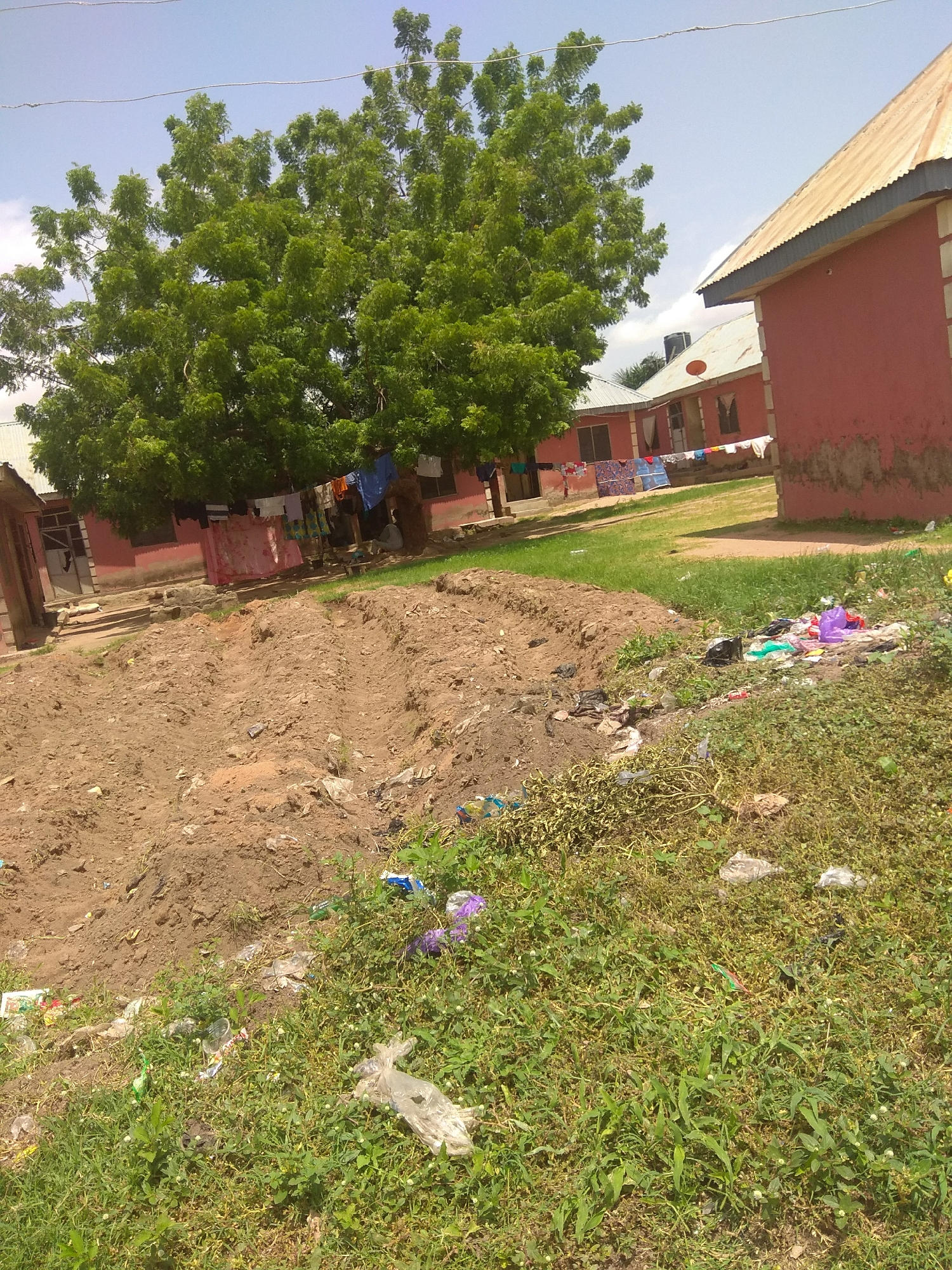 The image depicts an outdoor scene in Jalingo, Nigeria, likely a residential or communal area. In the foreground, a mound of dark soil is visible, with sparse green grass and a considerable amount of scattered litter, including plastic bags and wrappers. Behind the soil mound, a patch of overgrown grass with more debris is present.
Further back, a large, leafy green tree dominates the central part of the image. Clothes are hanging on a line beneath the tree, suggesting ongoing laundry activities. Several pink buildings with corrugated metal roofs are visible in the background. Some of these buildings have windows and doorways. One building on the far right has a red exterior. The sky is a light blue with some faint clouds. The overall impression is of a somewhat unkempt outdoor space.